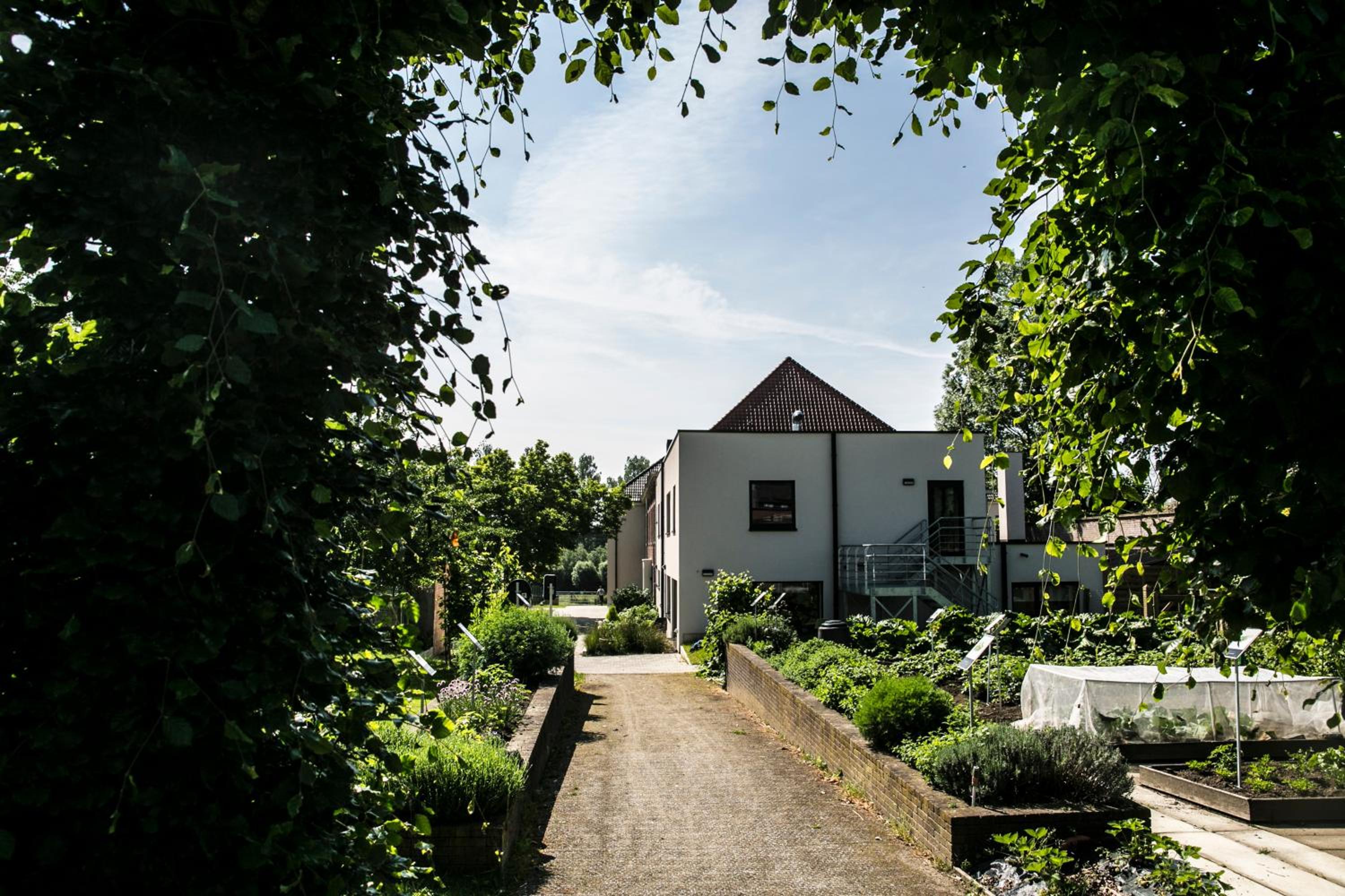De Kleppe