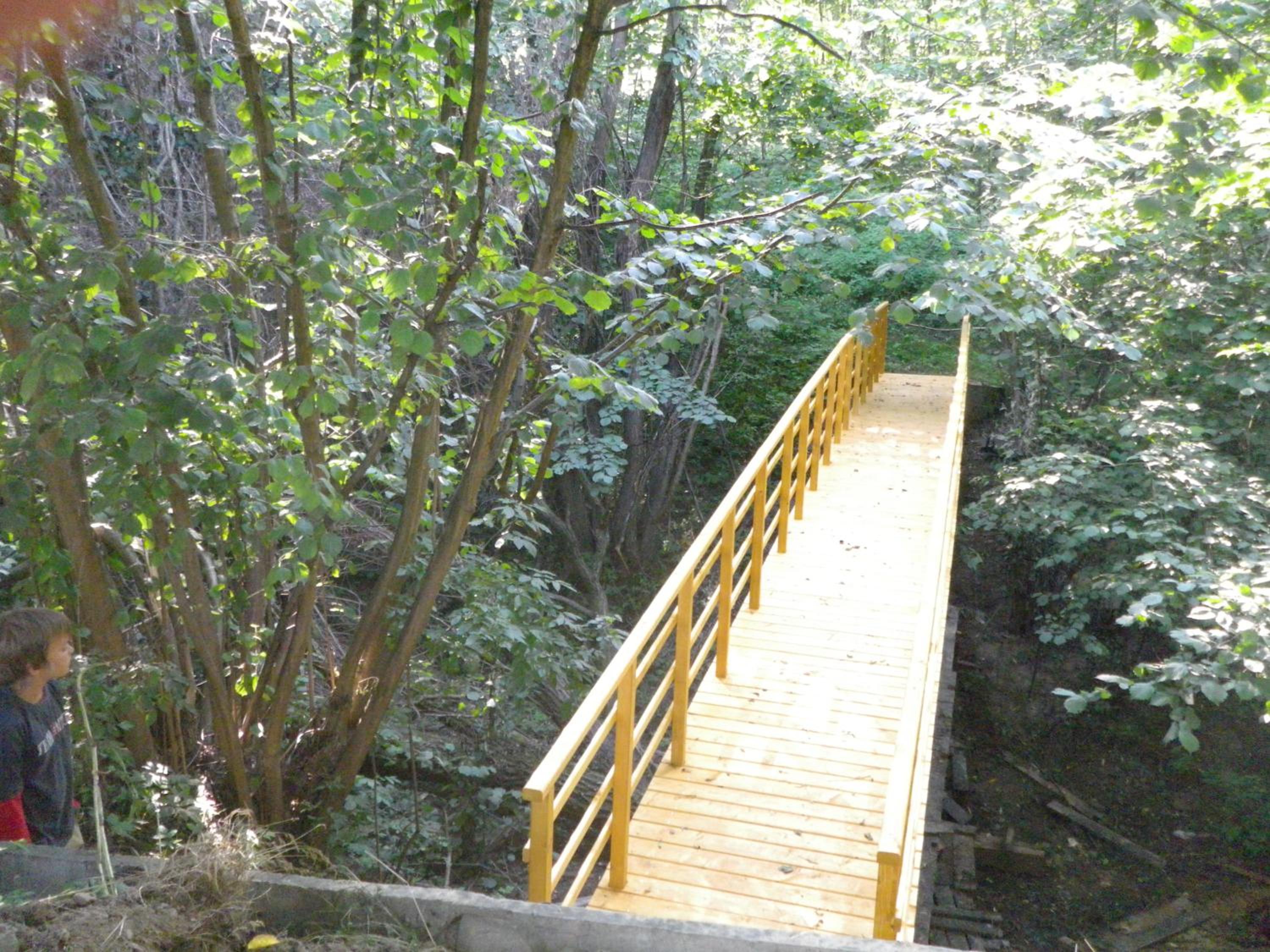 Photo 11