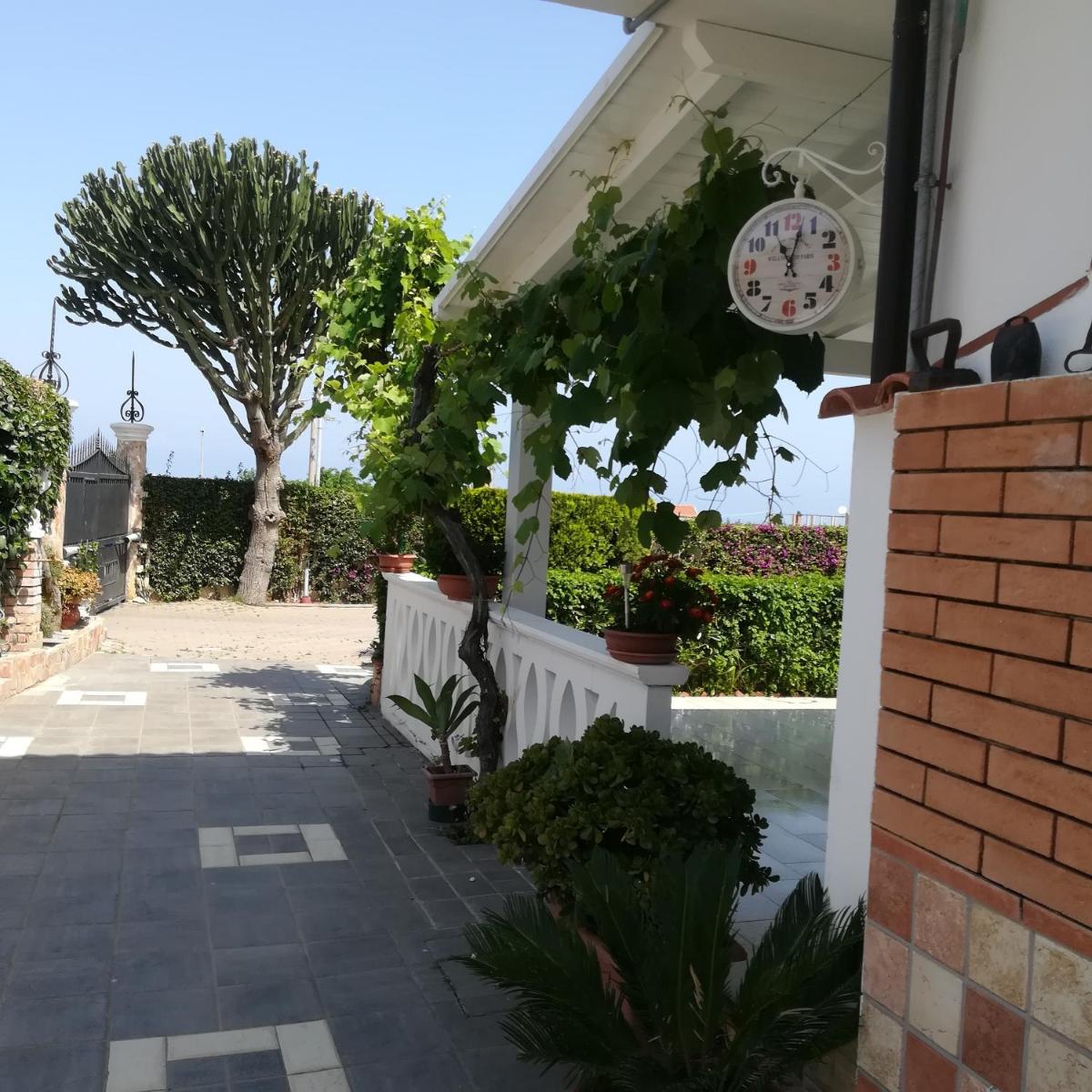 Photo 26
