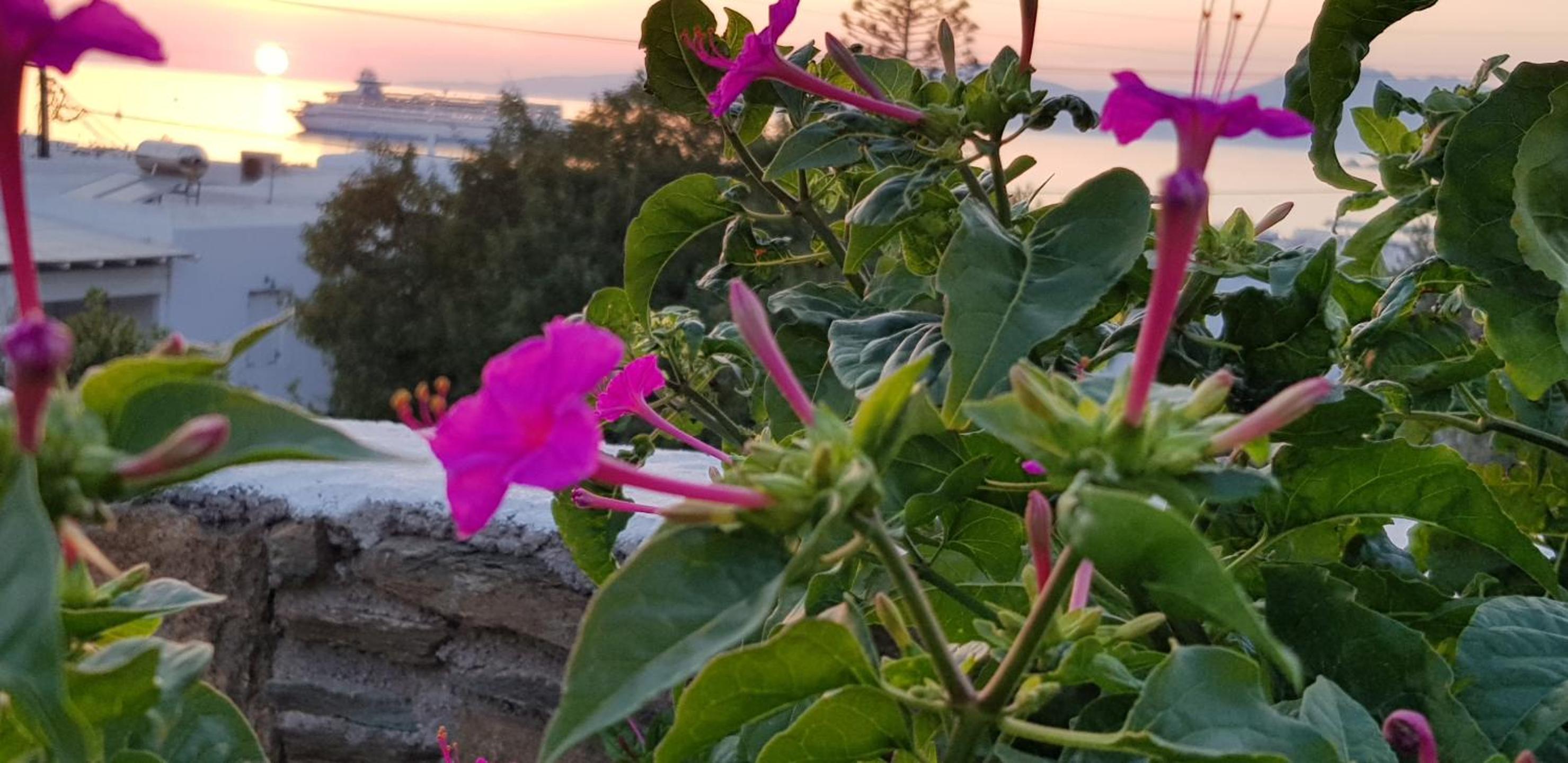 Villa Varnali Small Boutique view 5