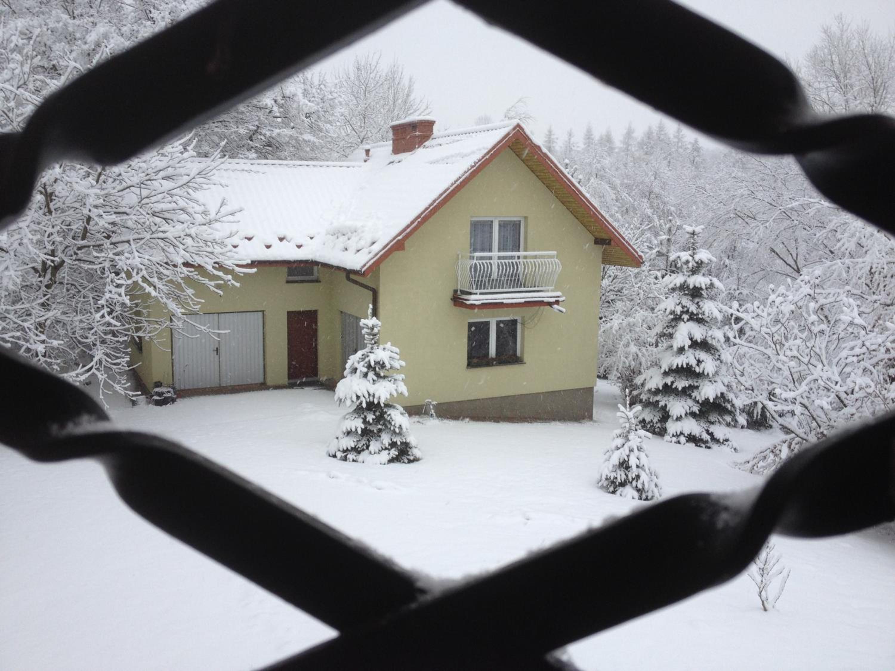 Photo 41