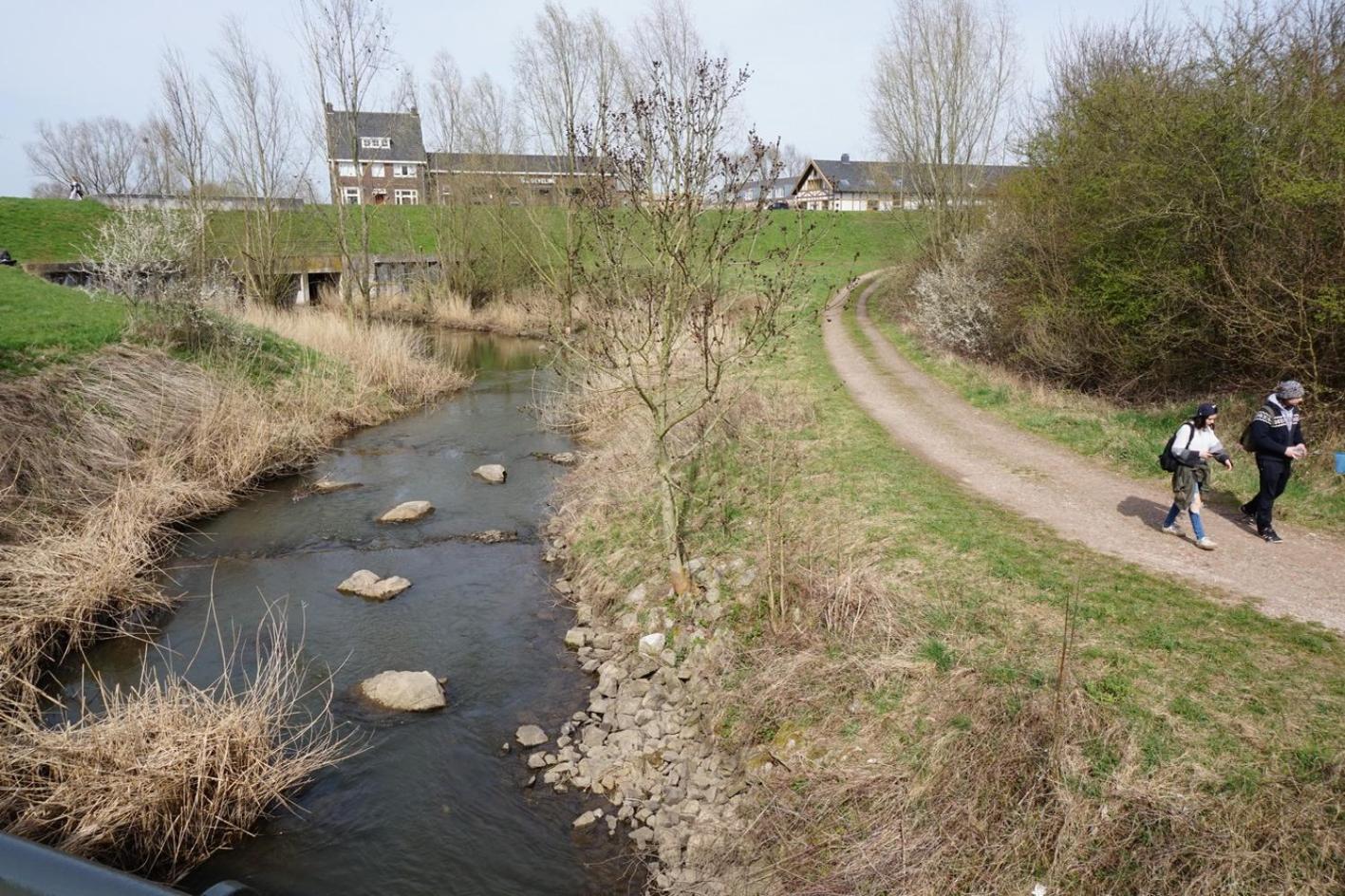 Photo 45