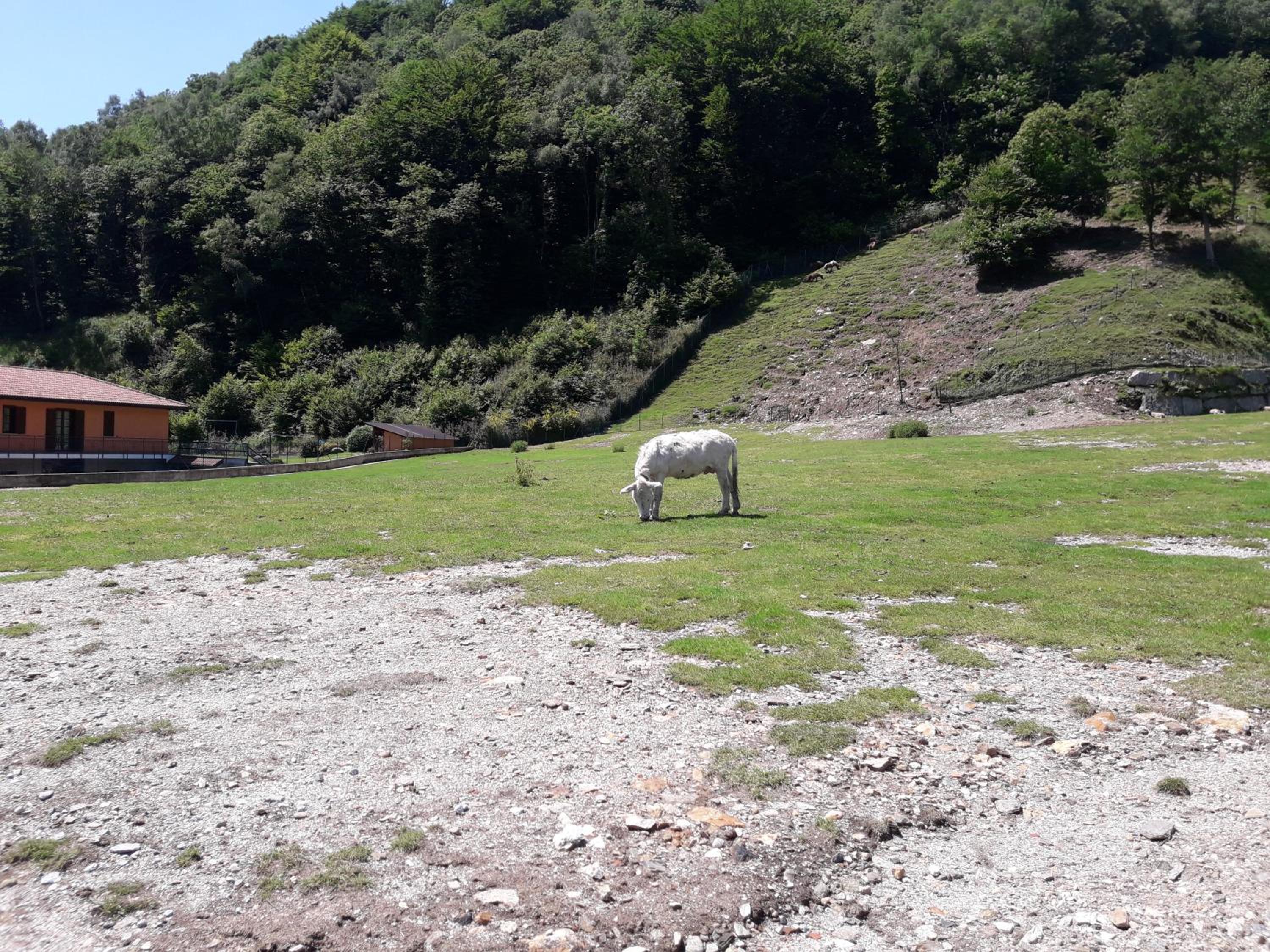 Agriturismo La Miniera