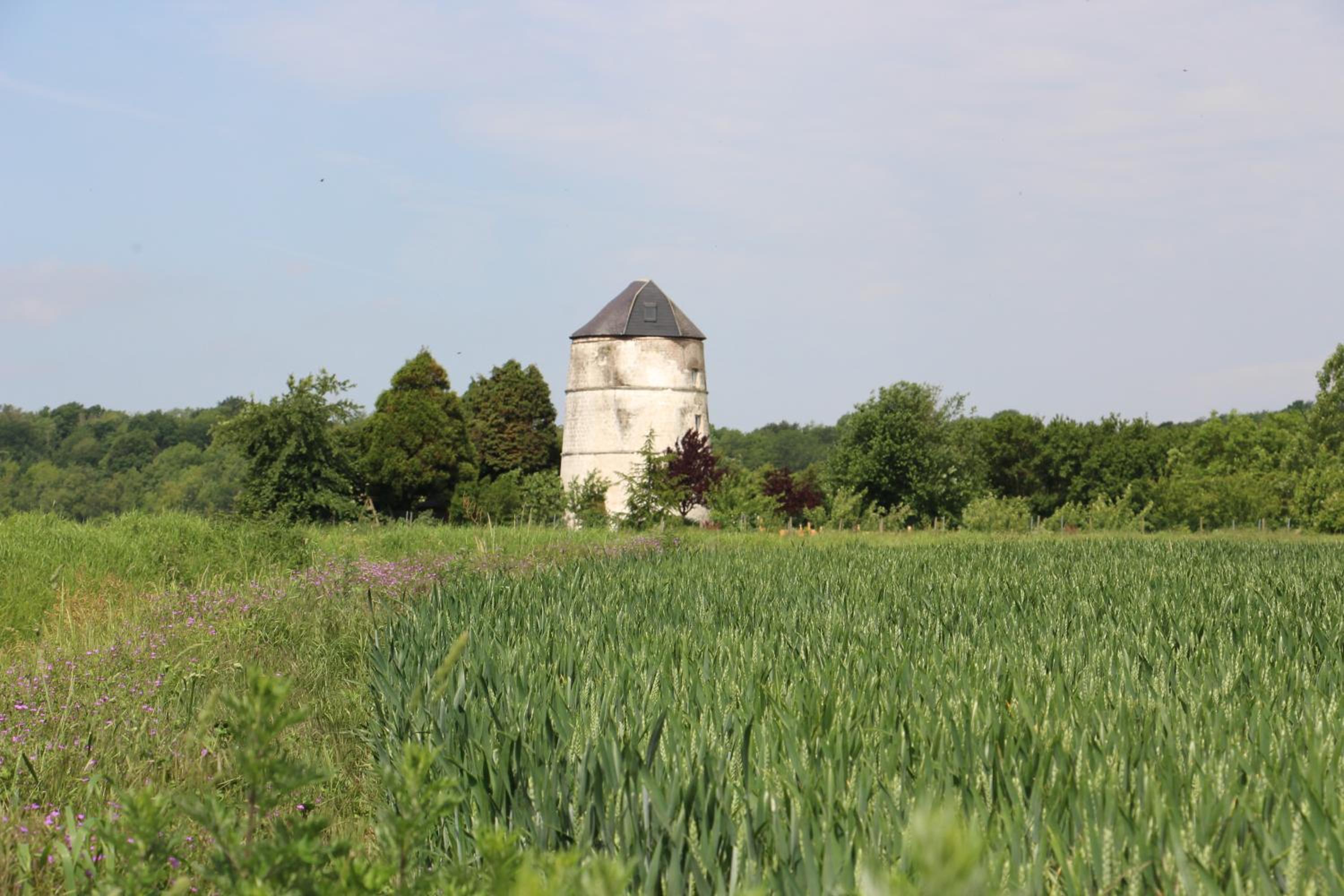 Photo 43