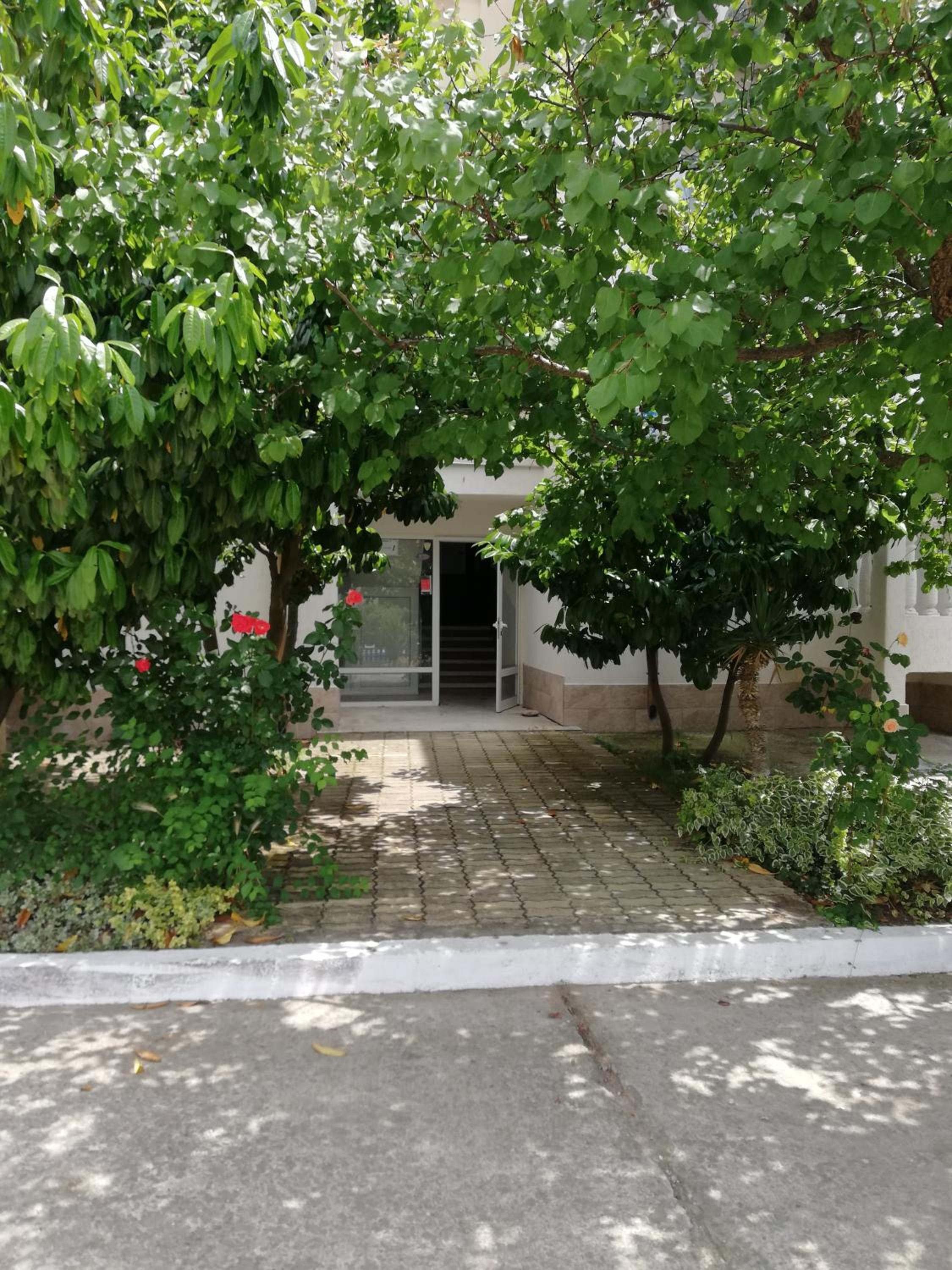 Apartments Bravo 1-Vichevi