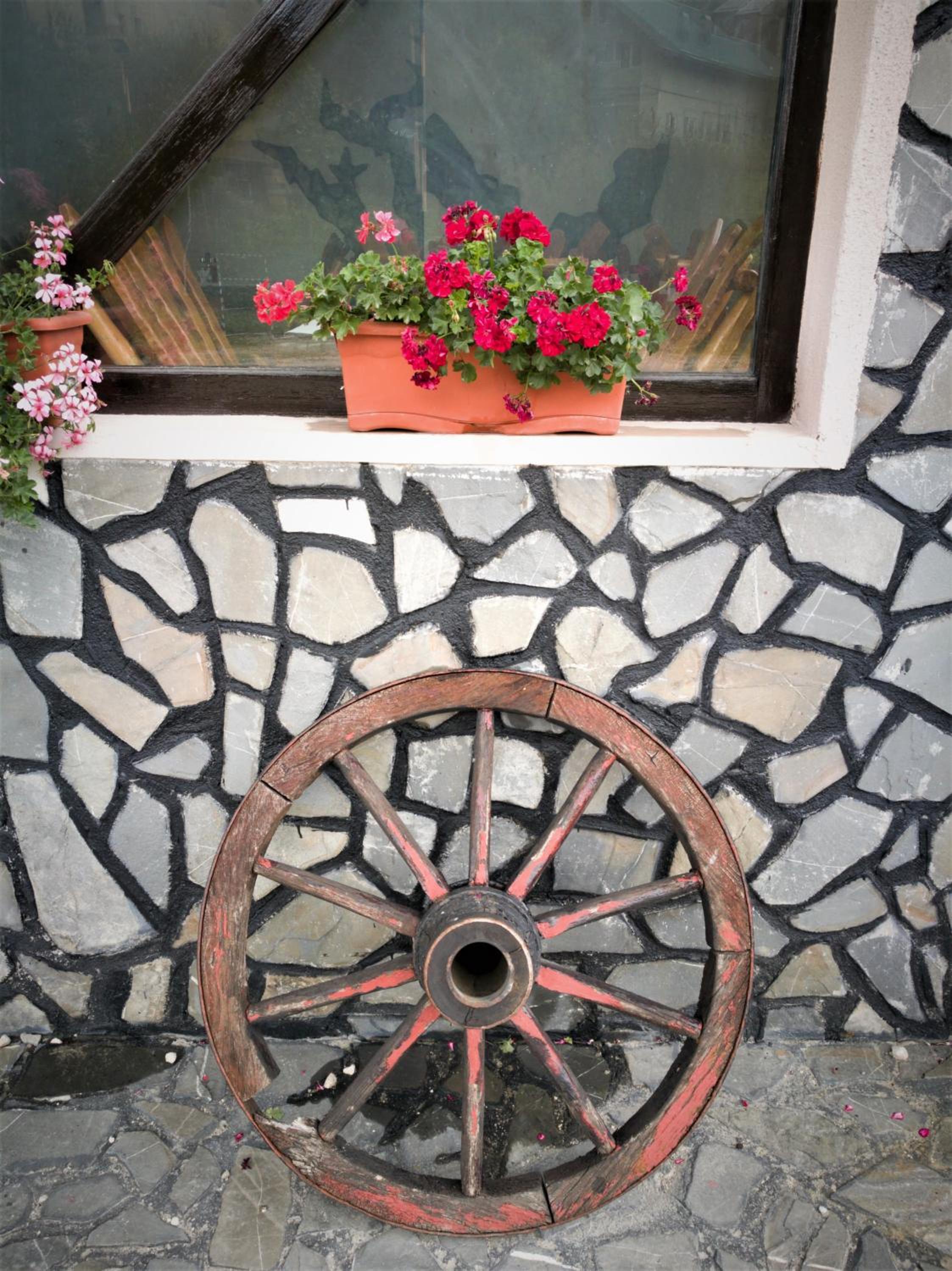 Photo 26
