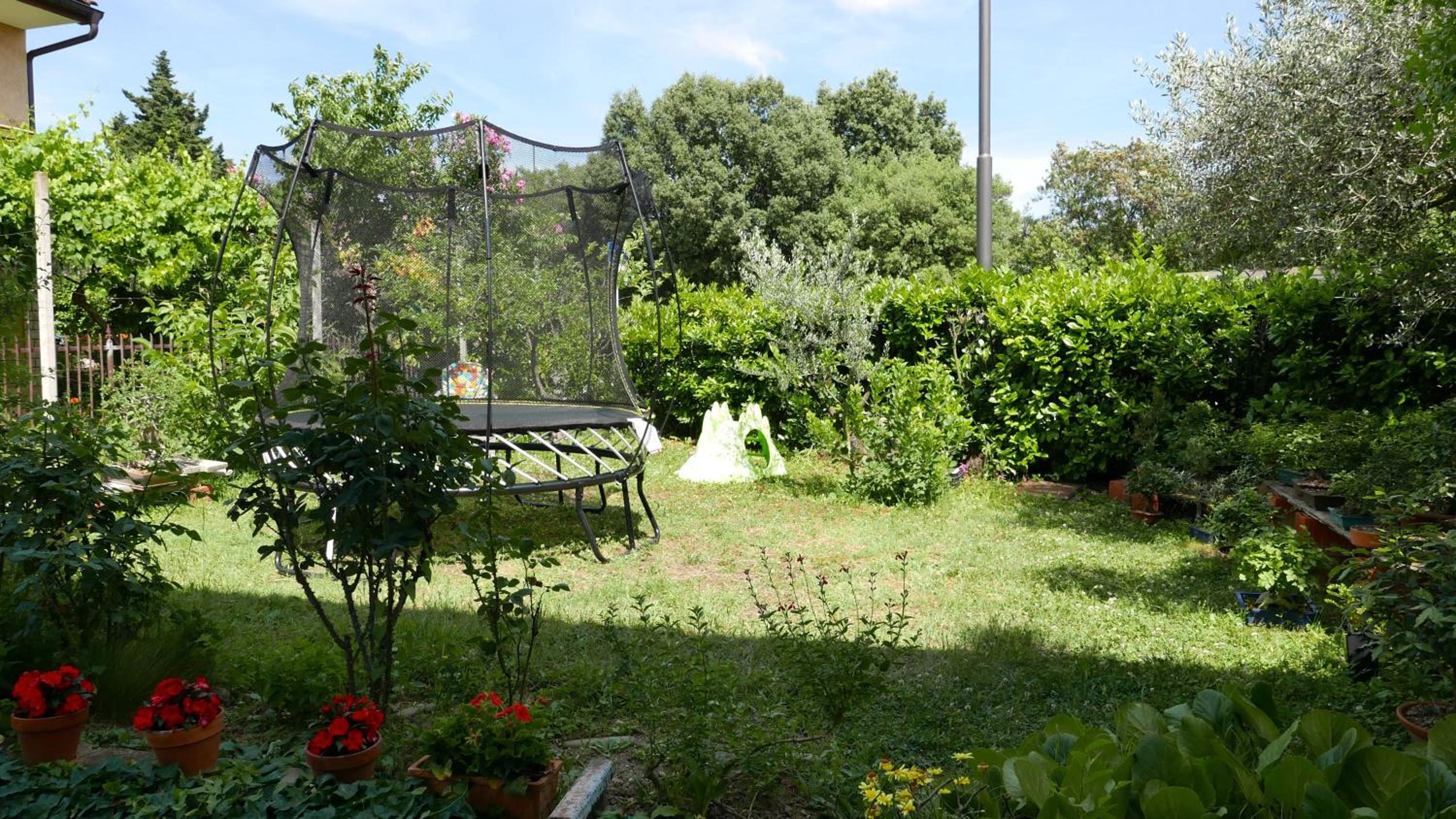 Photo 52