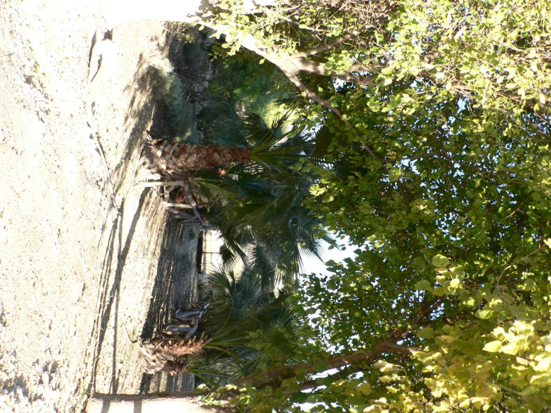 Photo 38