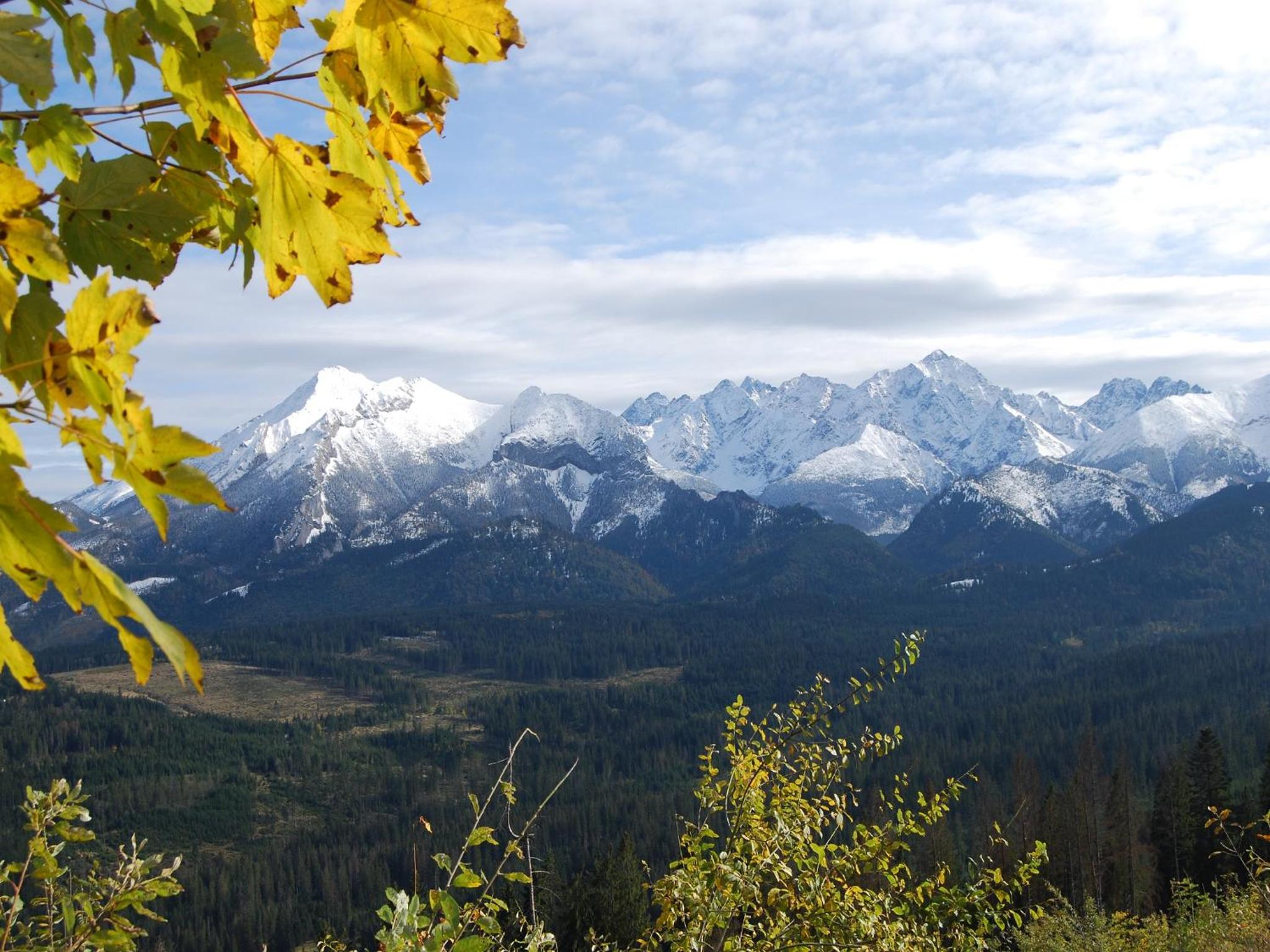 Pokoje Gościnne Budzowie view 4