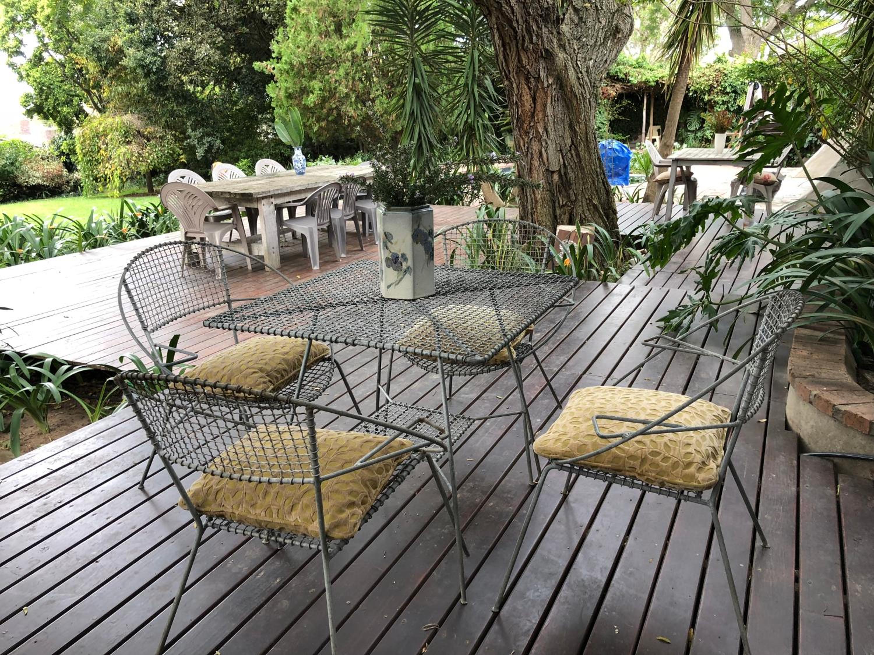 The Wild Fig view 2