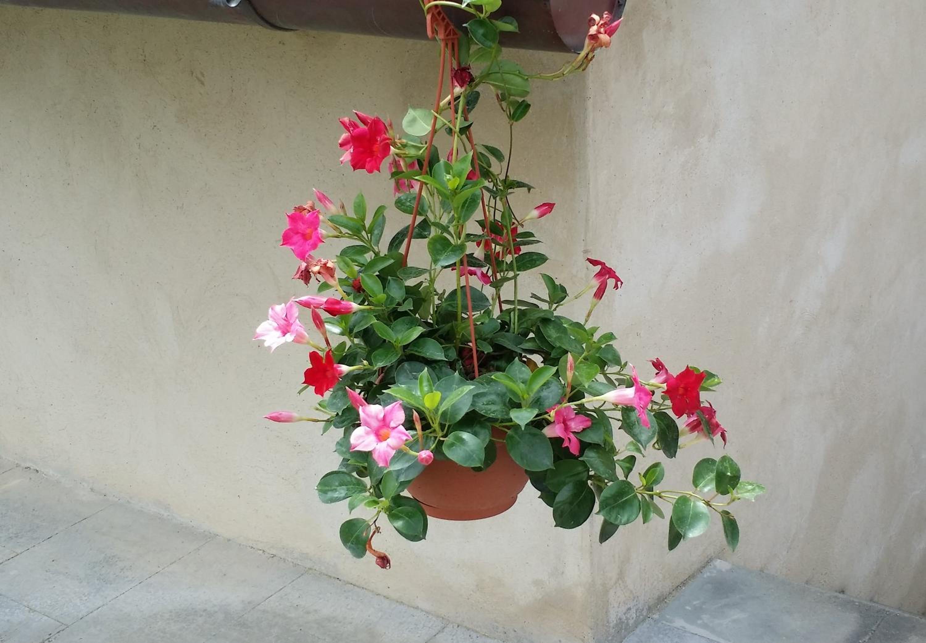 B&B Le Torri Di Firenze