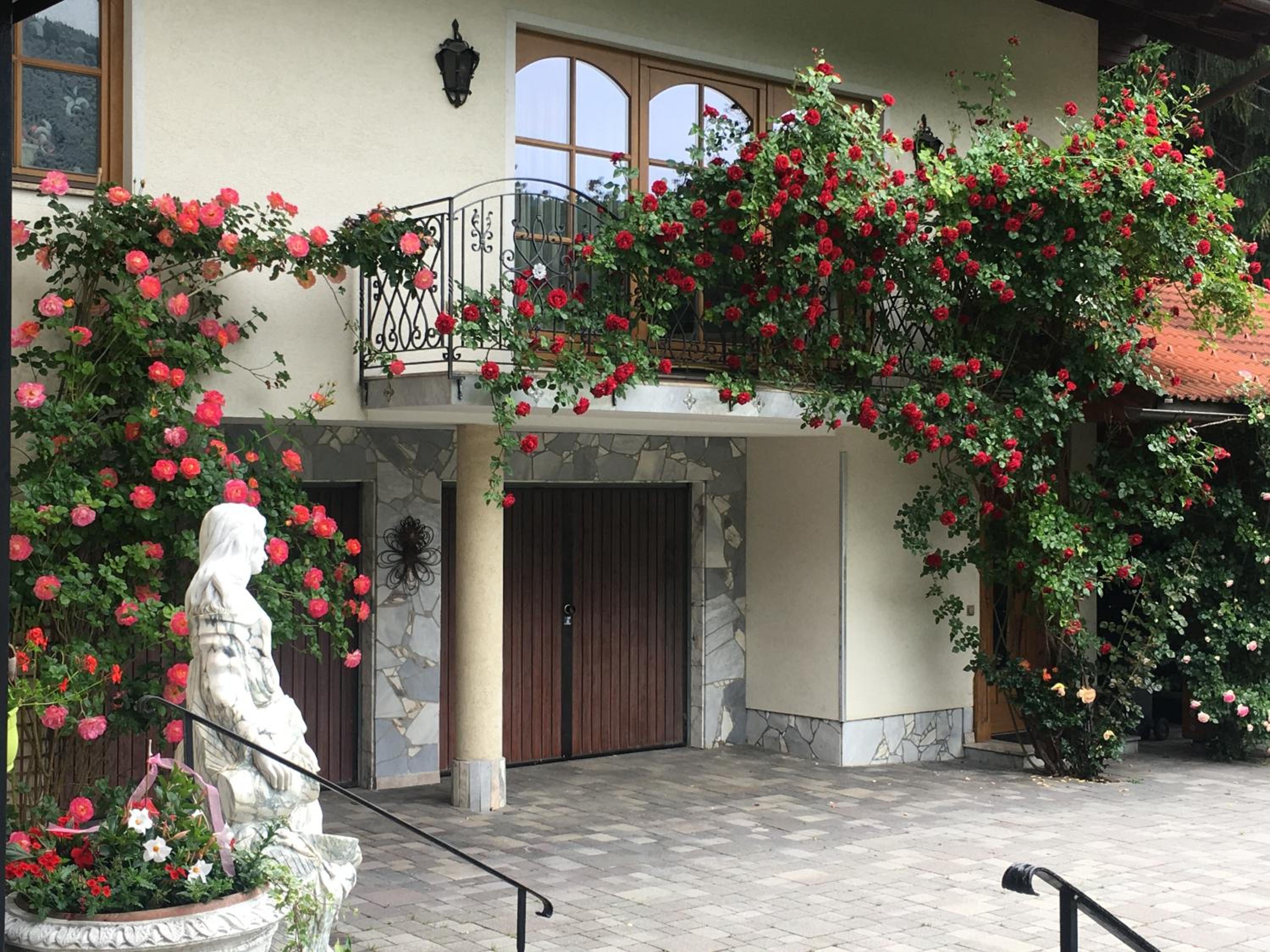 Ferienhaus Kramser