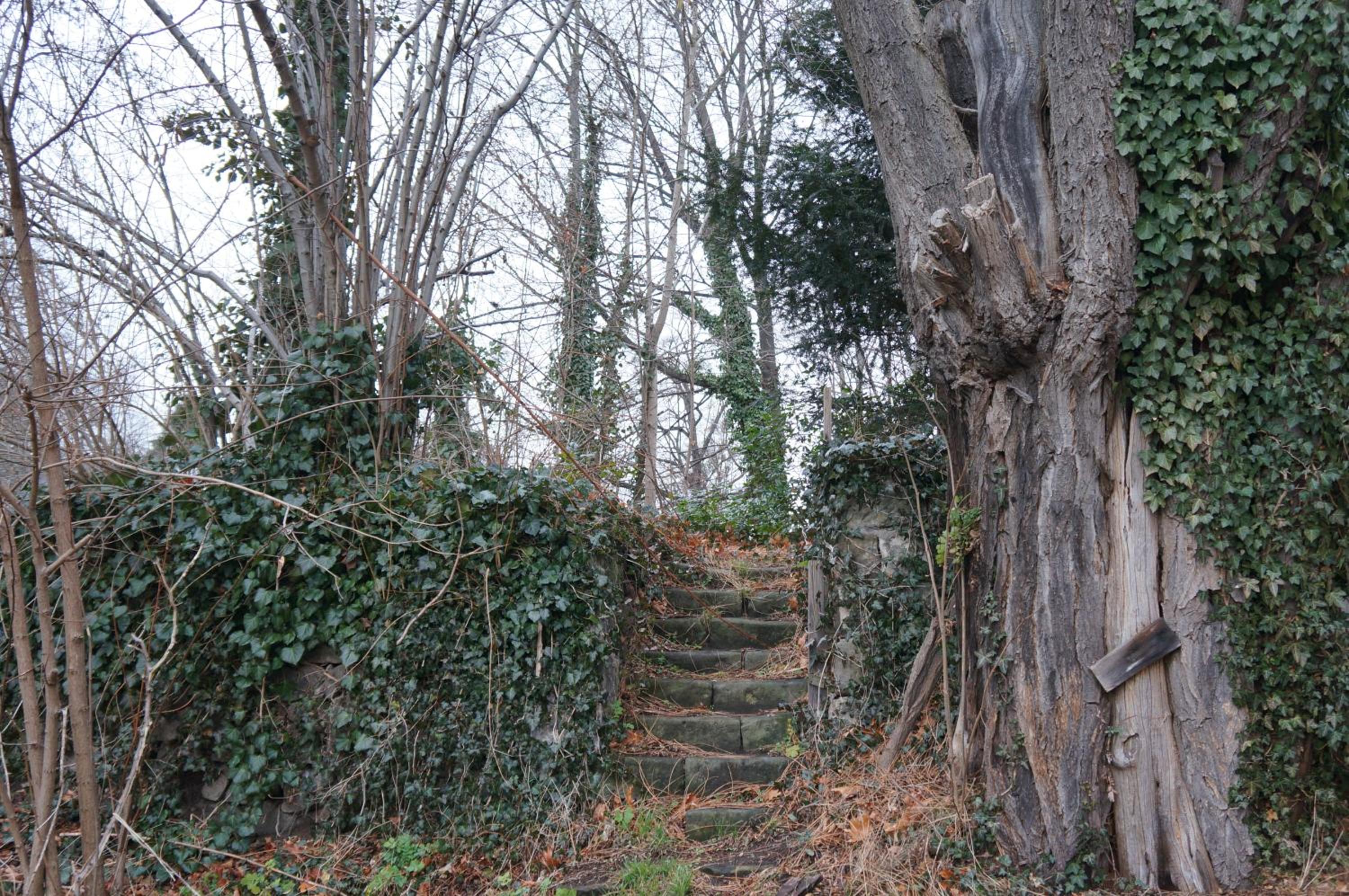 Dresden Vacations - Stadtvilla am Elbhang - Property Image 8