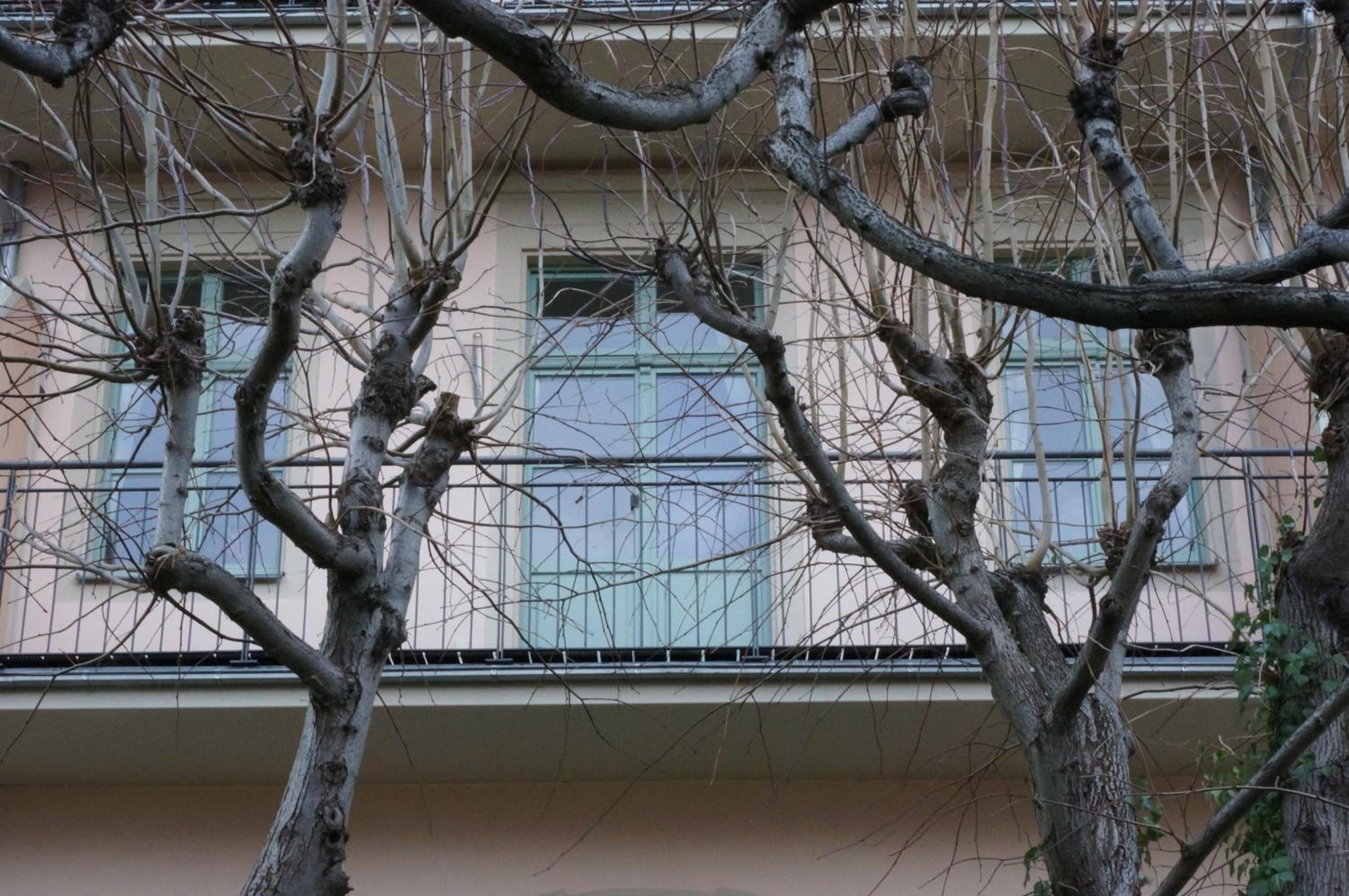 Dresden Vacations - Stadtvilla am Elbhang - Property Image 10