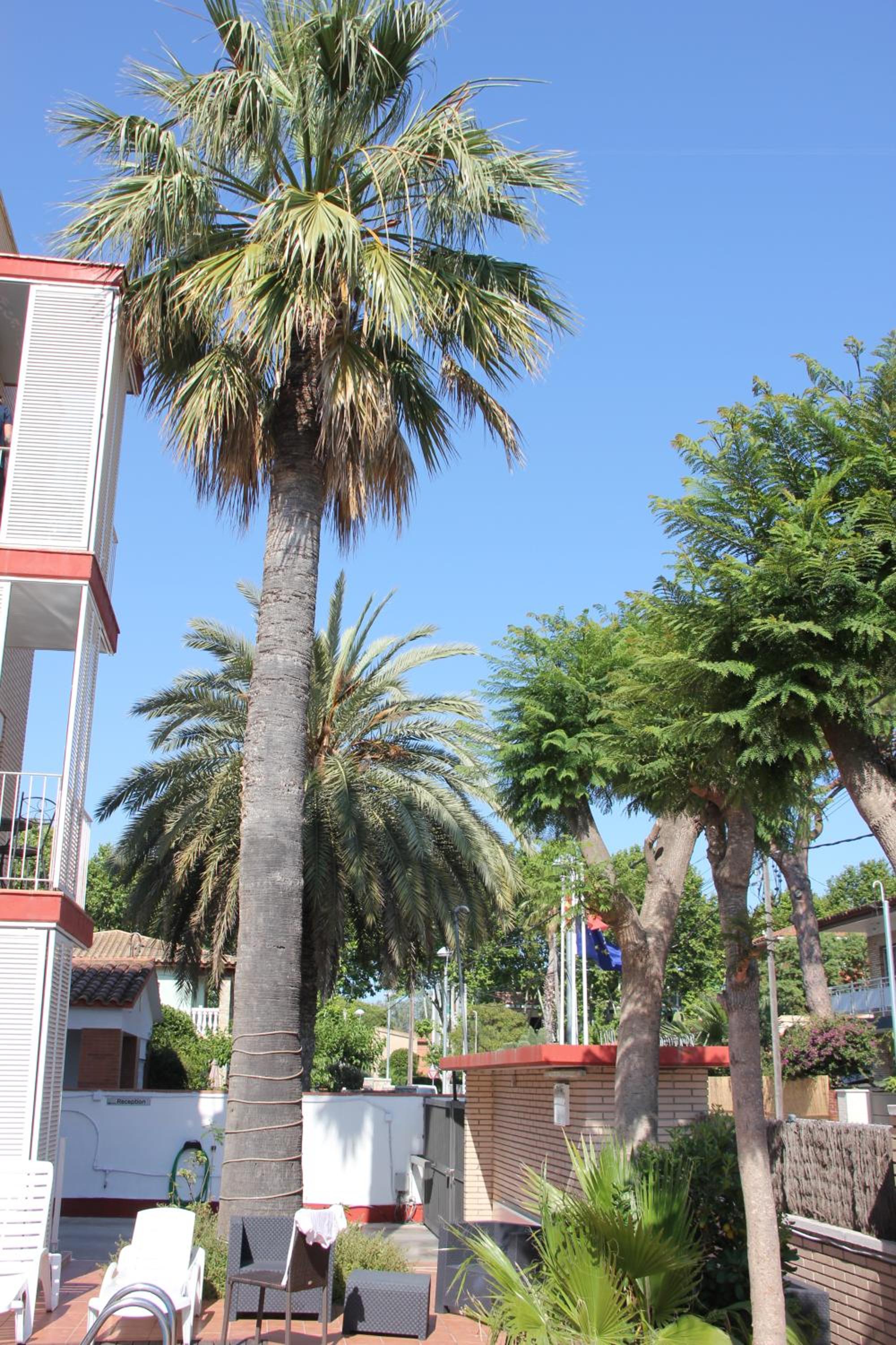 Apartamentos Caru