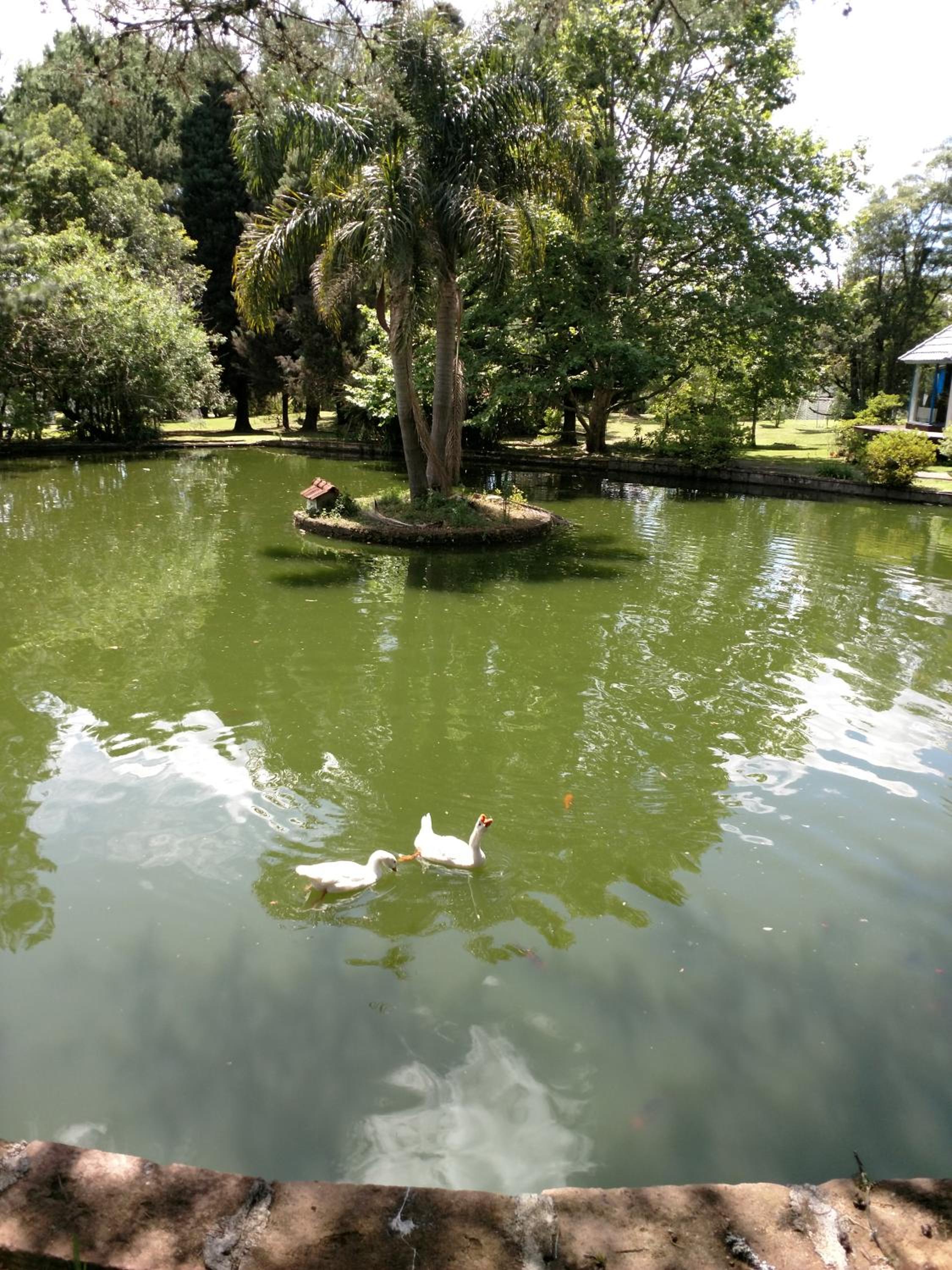 Chalé Vale do Bosque