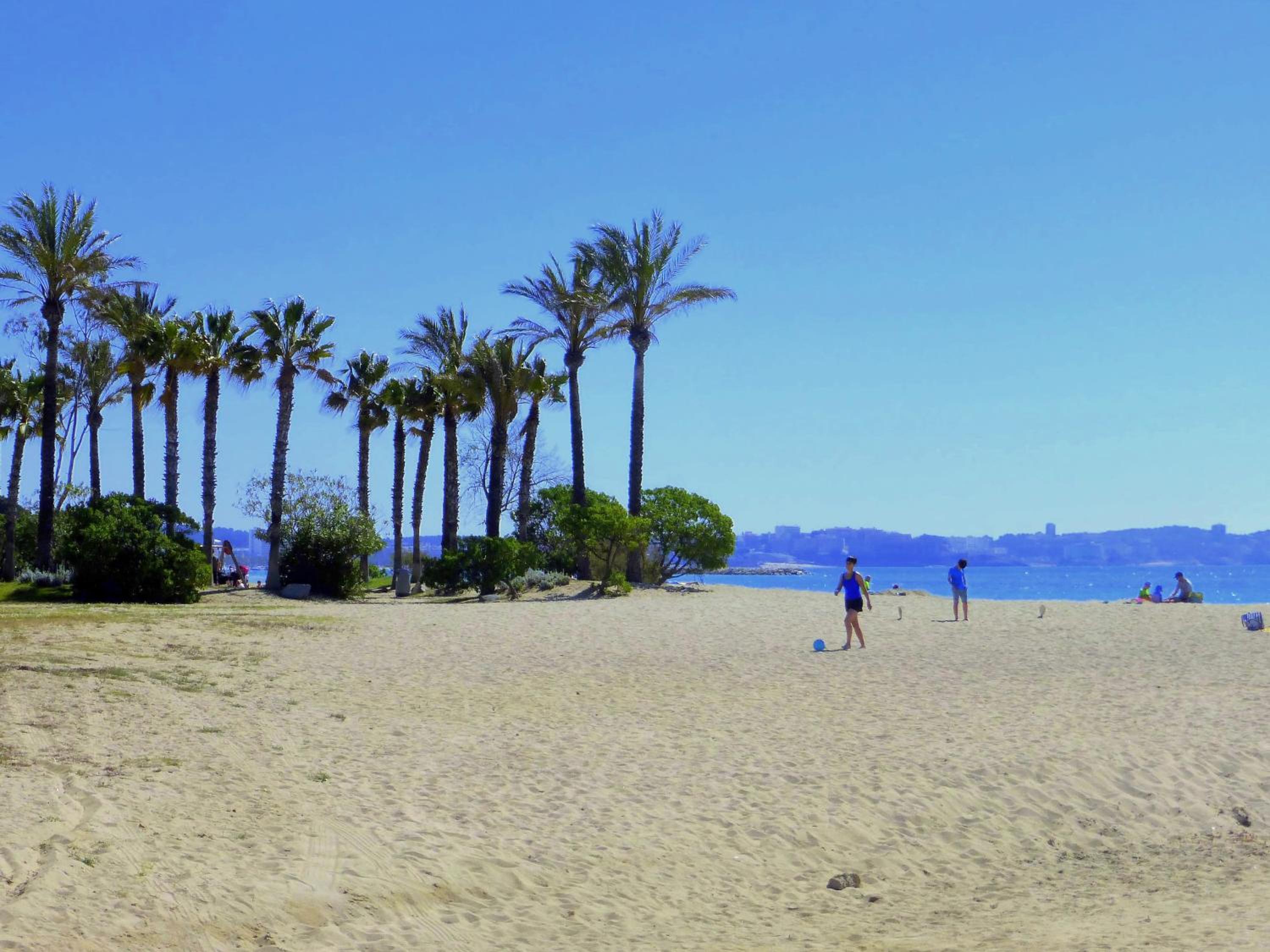 Rentalmar Pins Marina