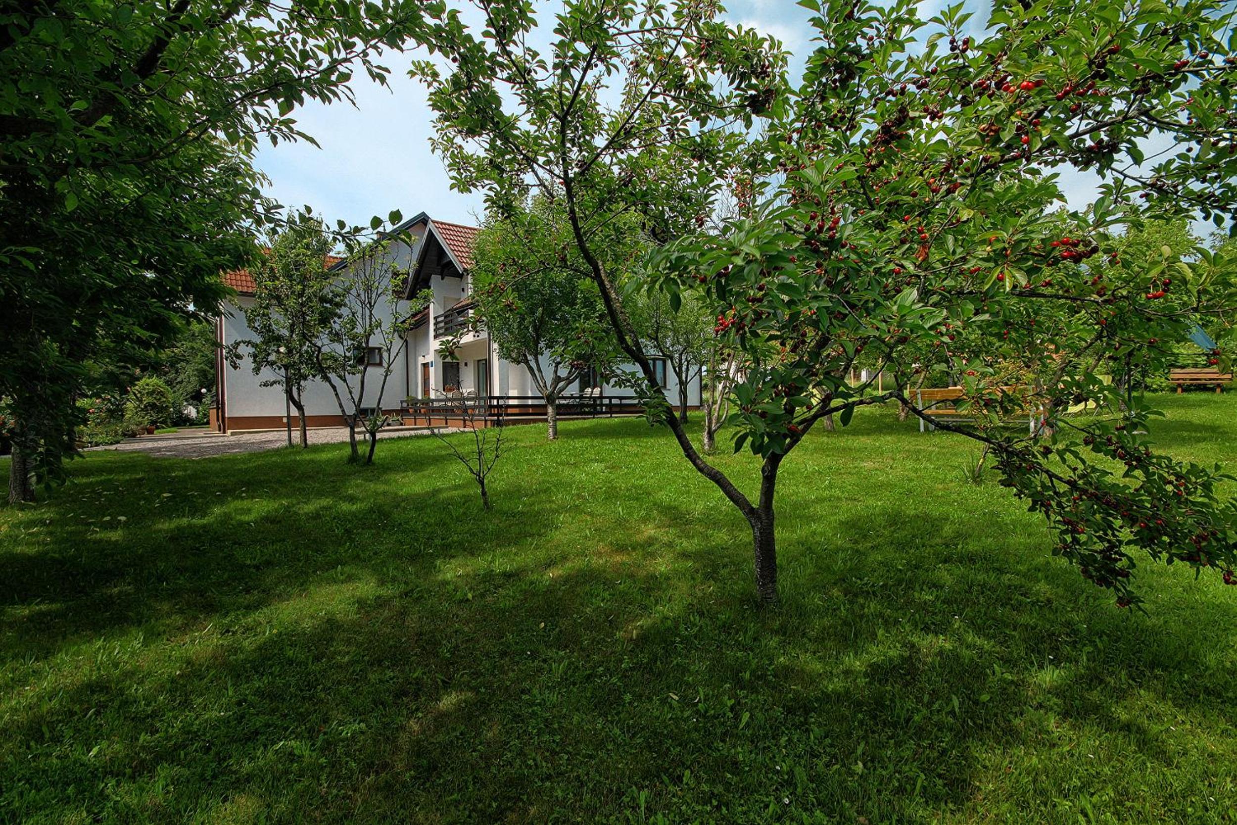 Photo 38