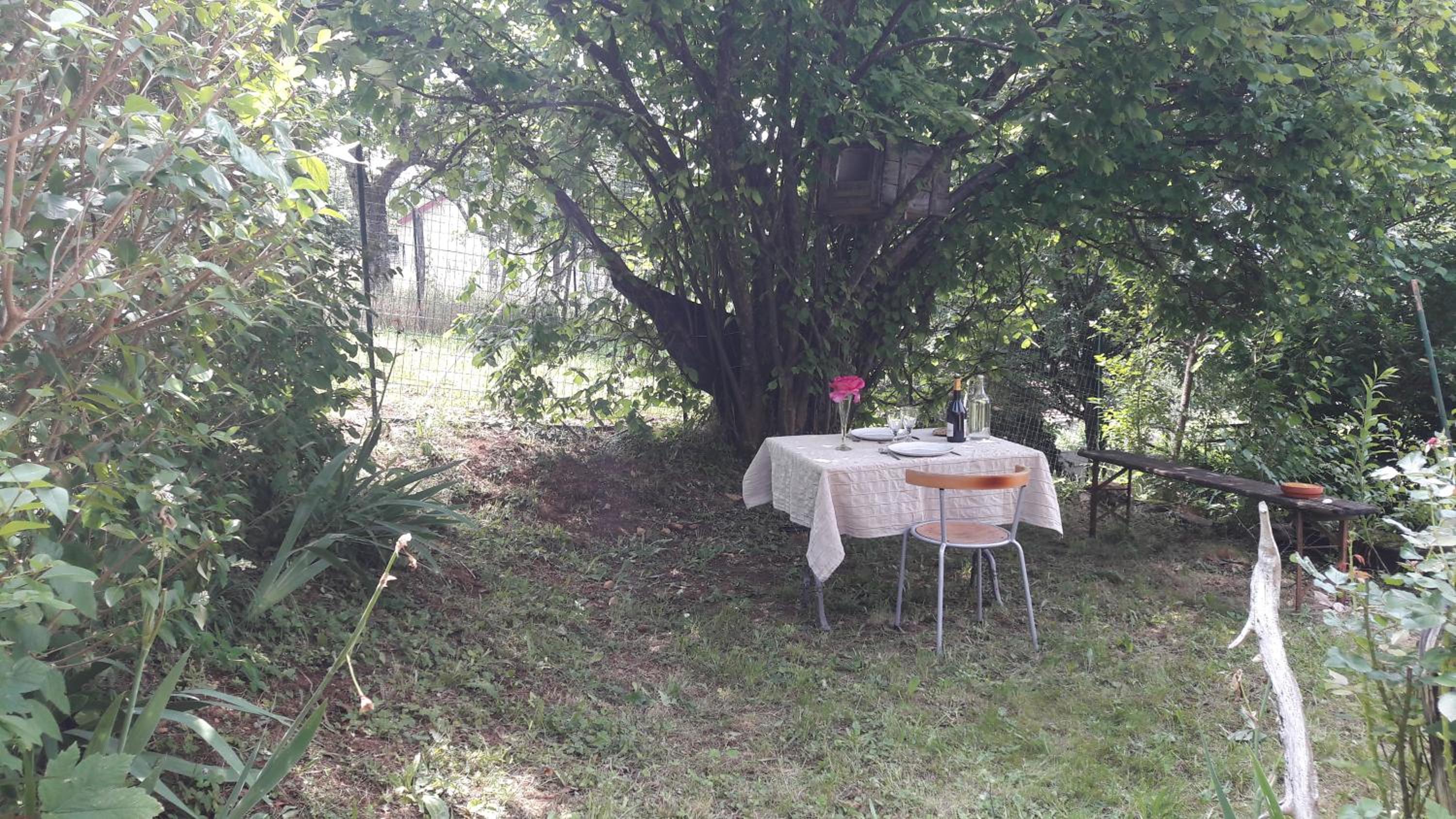 Photo 15