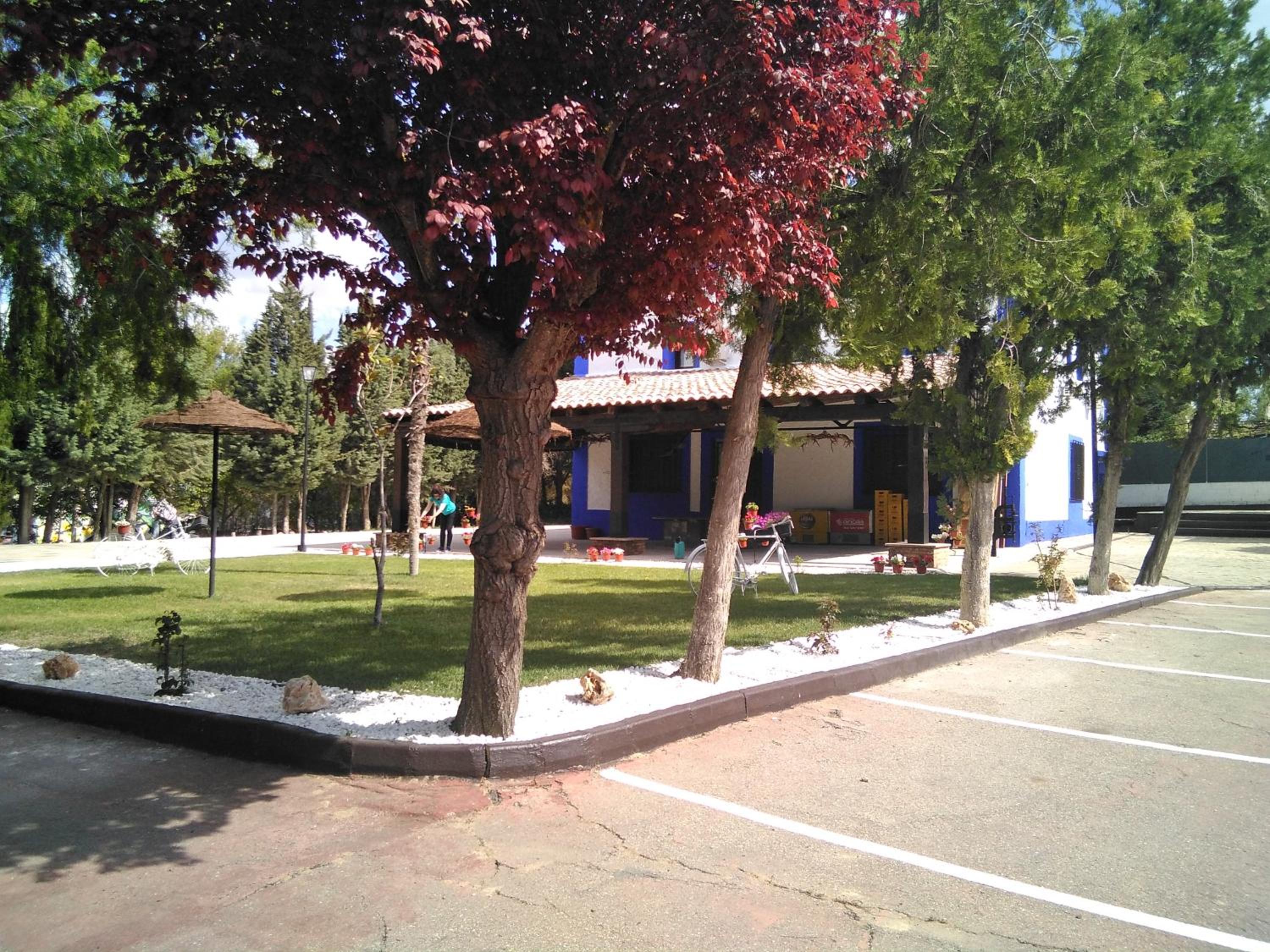 Photo 16