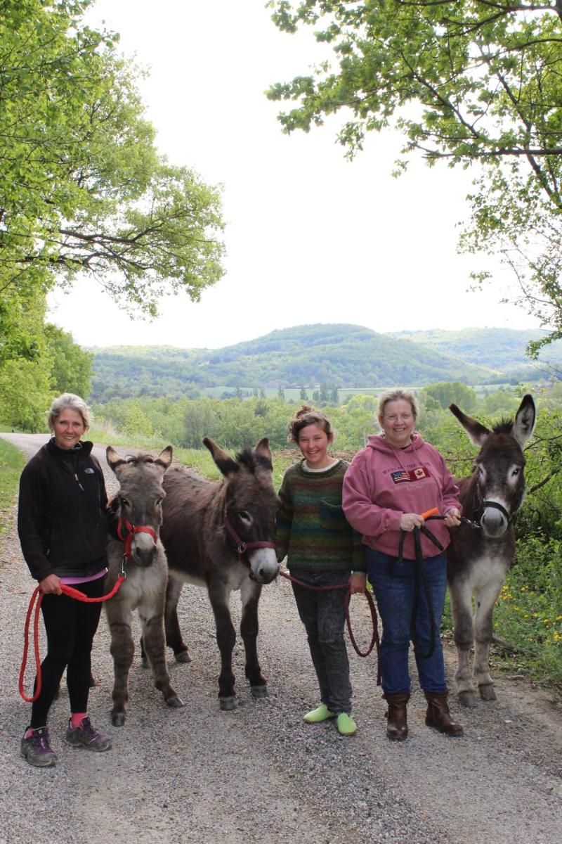 Les Hirondelles