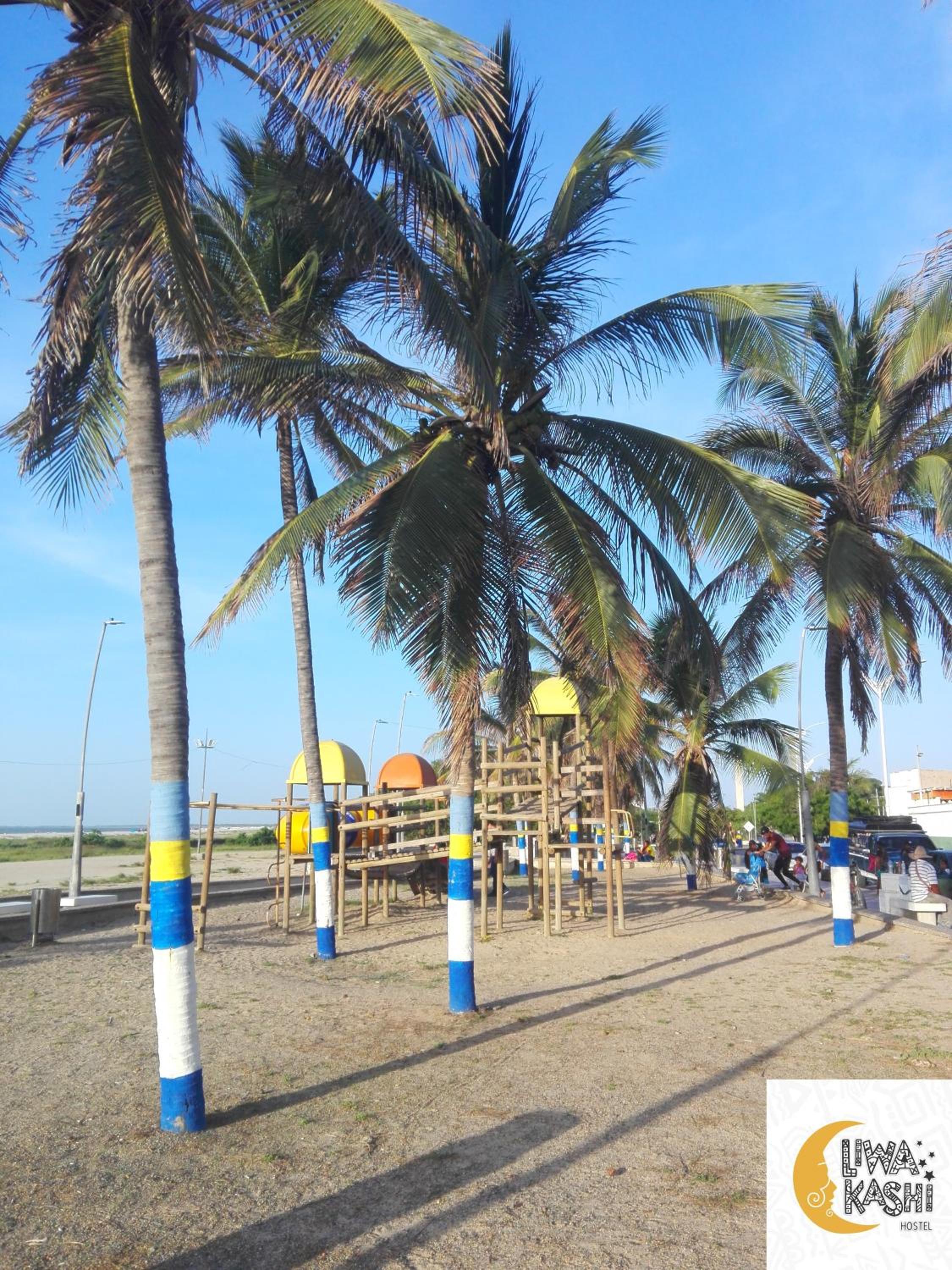 Photo 18