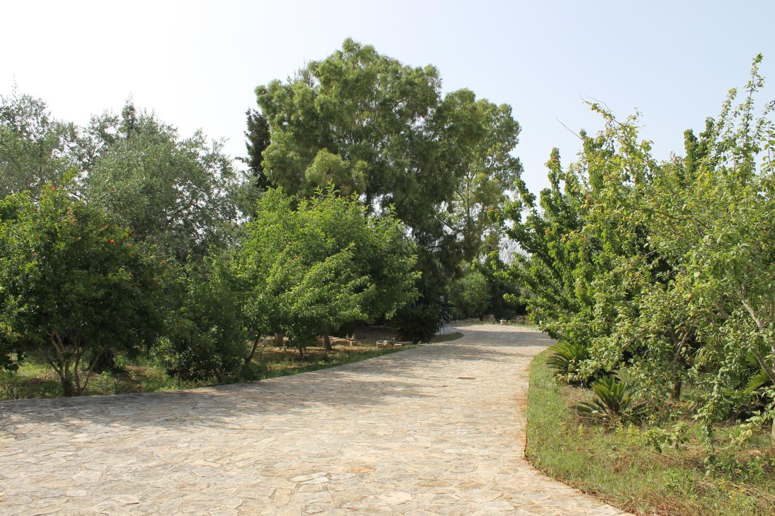 Photo 28