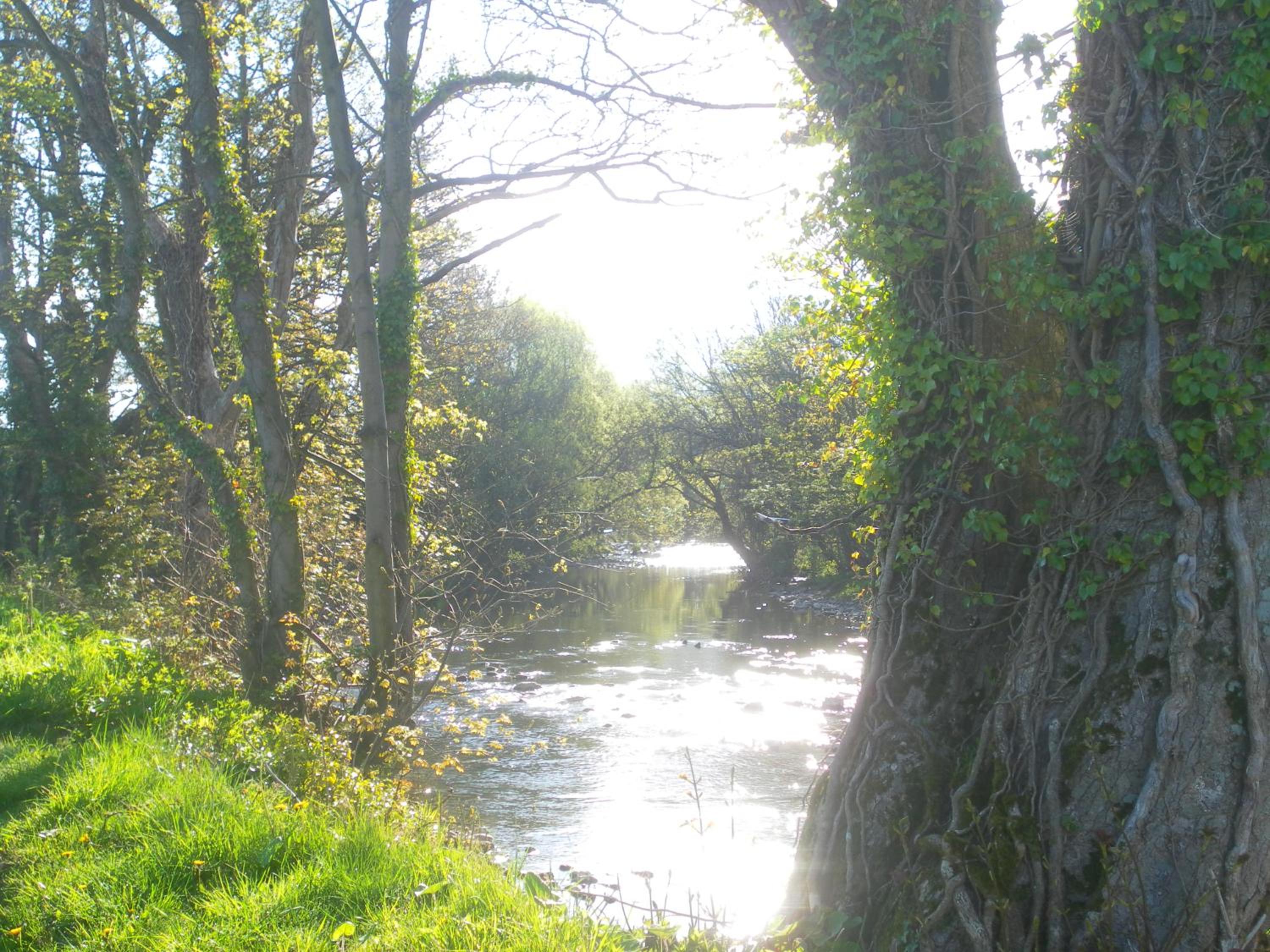 Photo 13