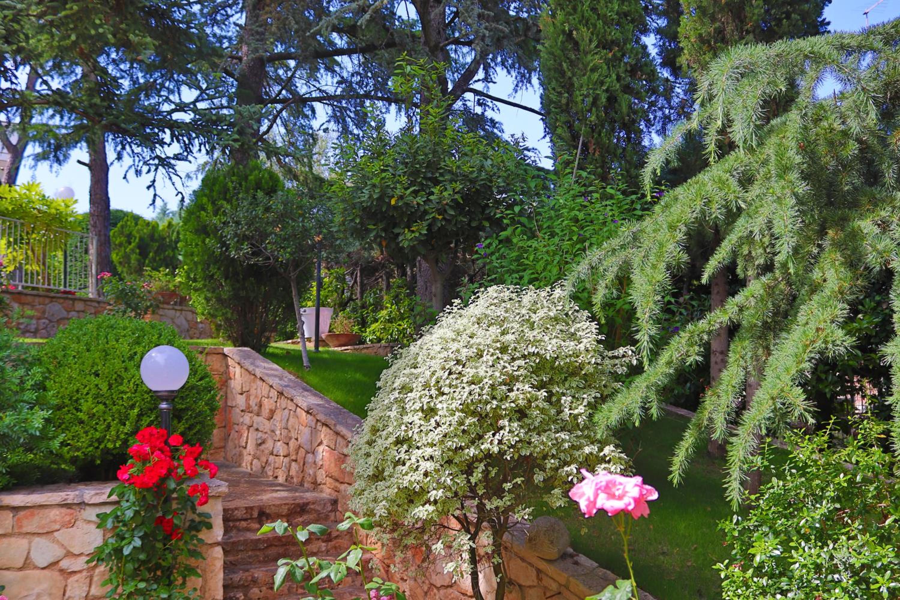 Villa Angelina