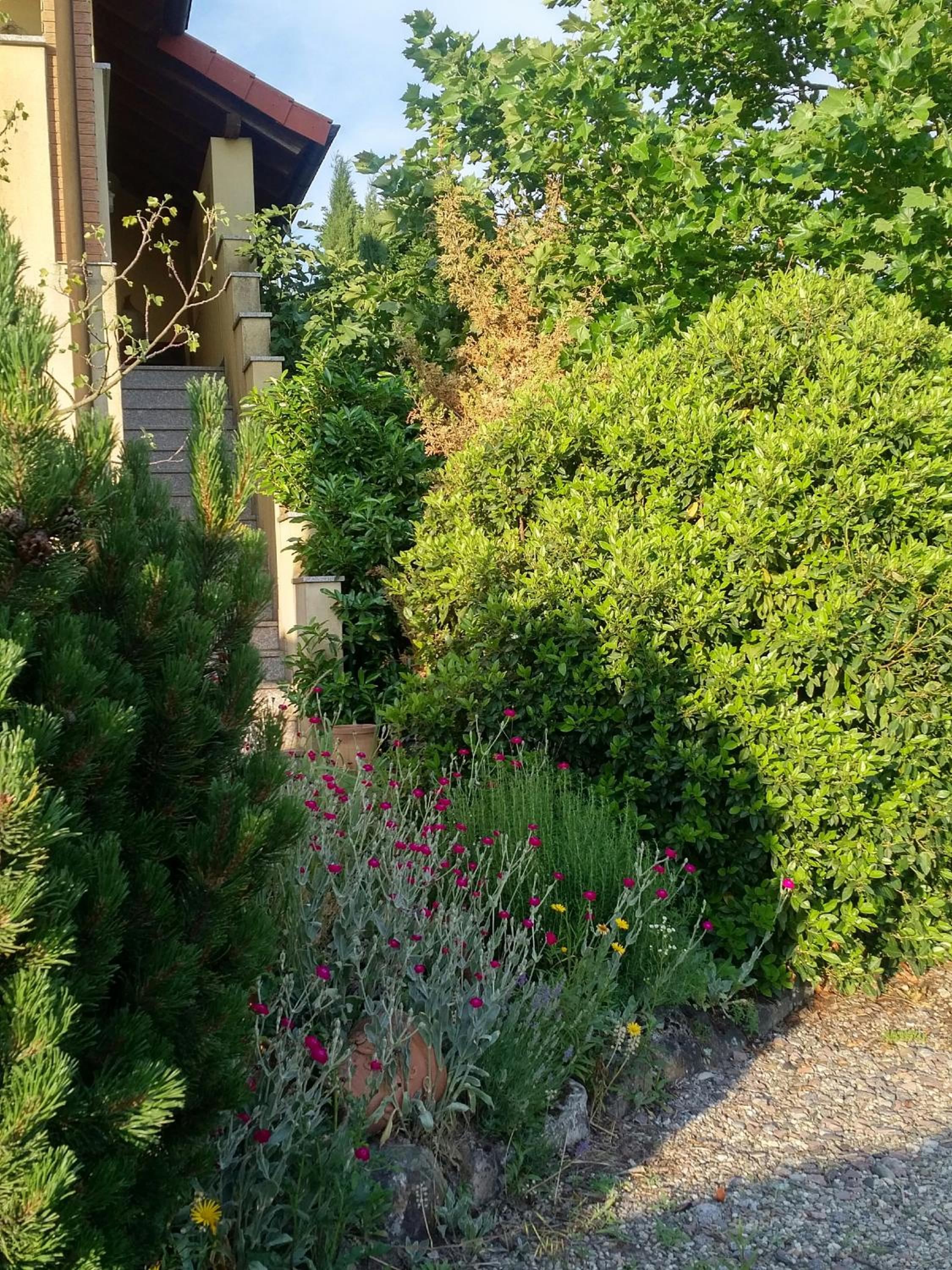Photo 29