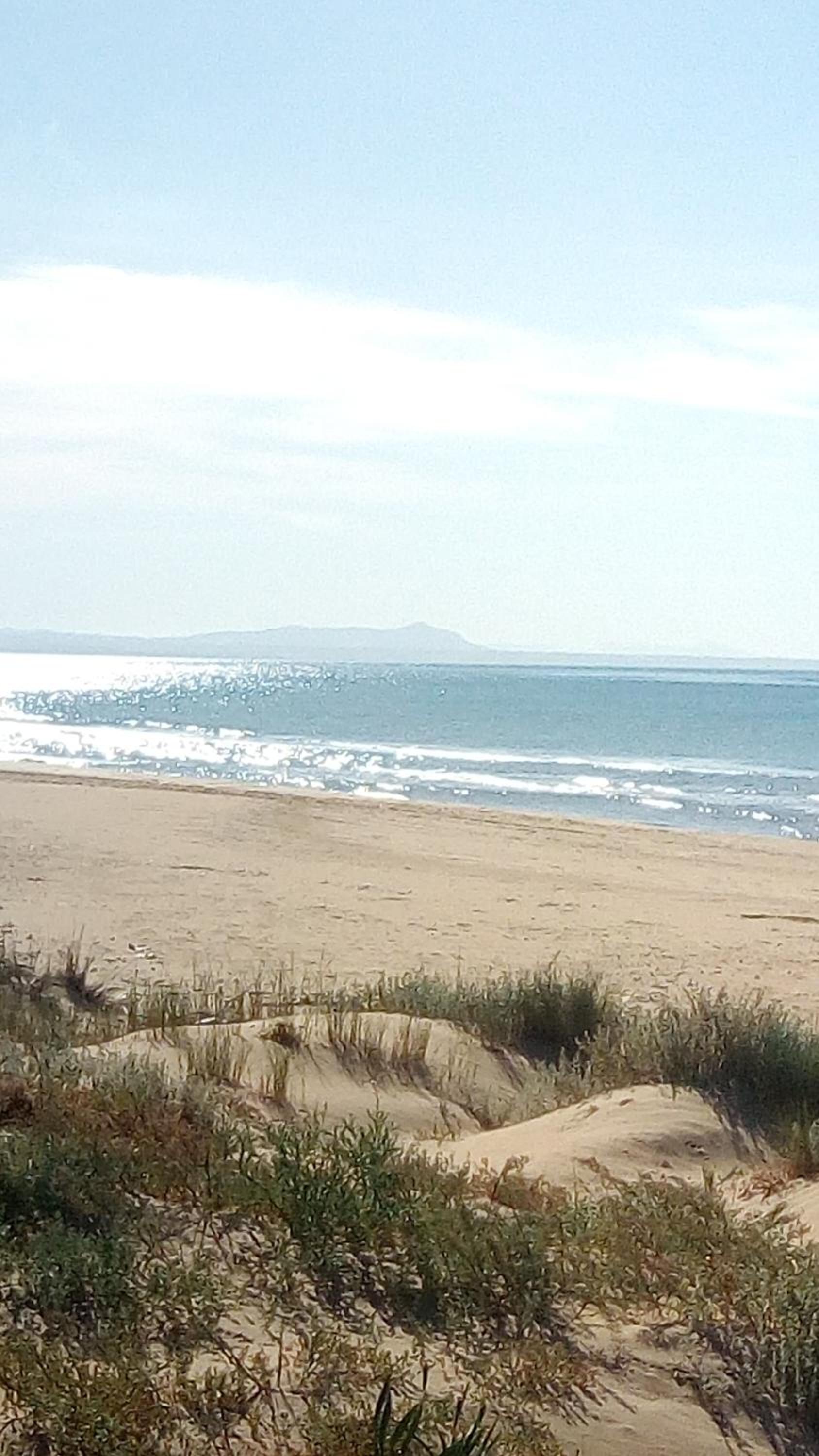 other