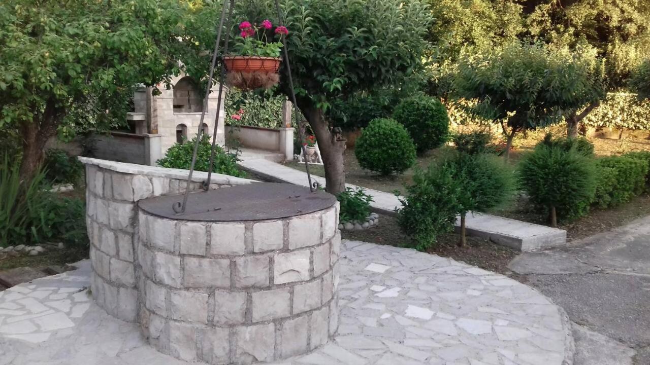 Photo 26