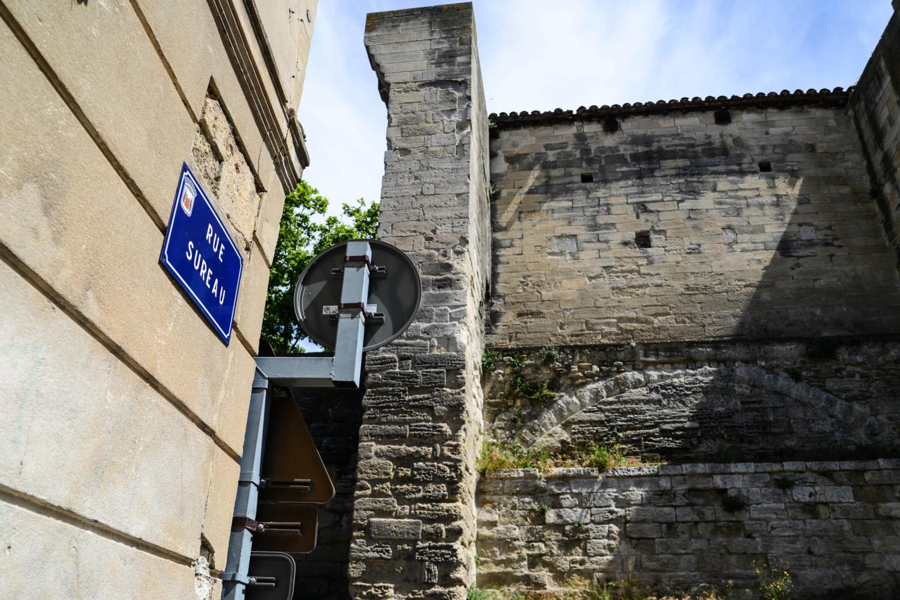 Le Sureau