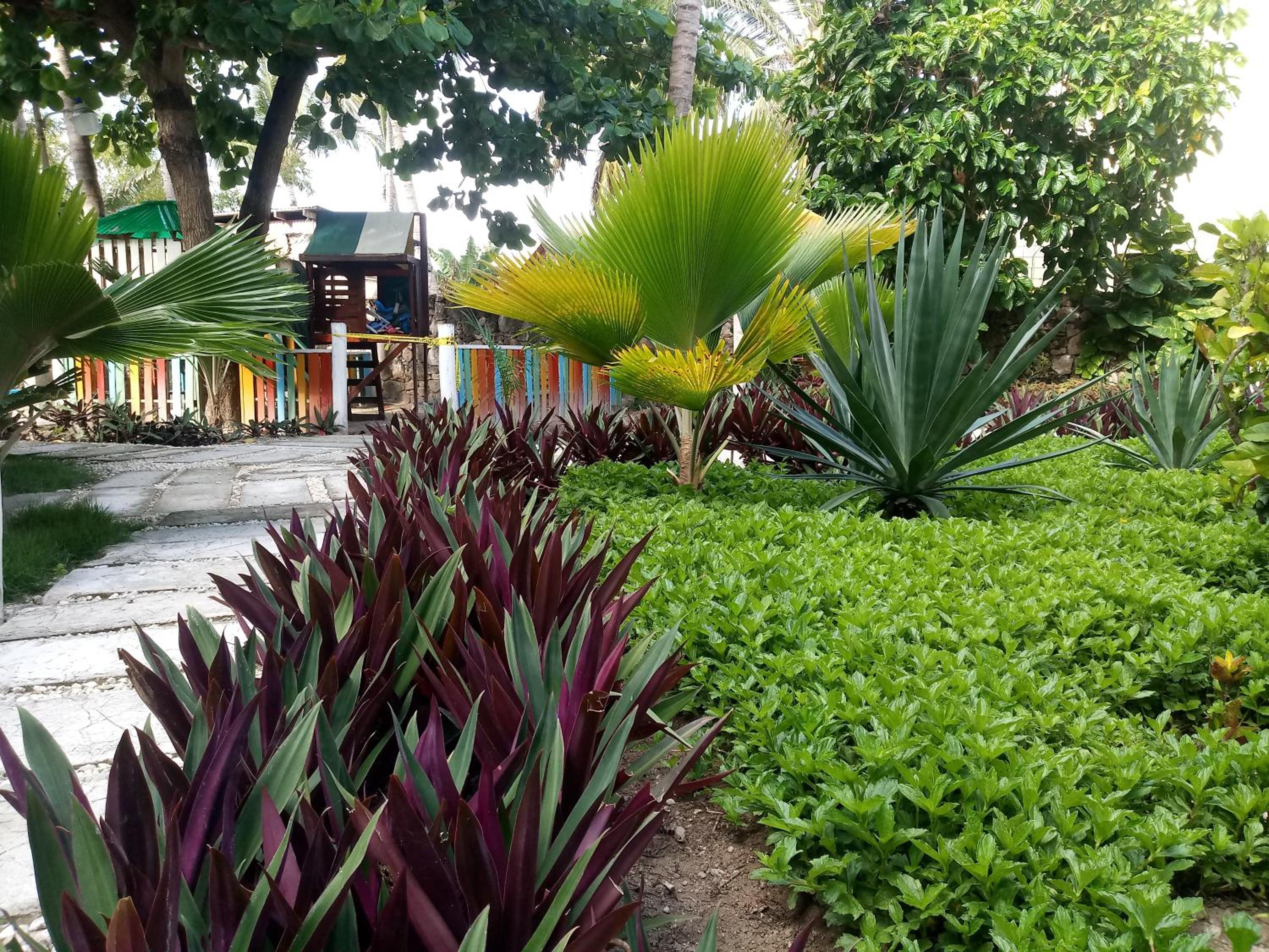 Riviera Punta Cana Eco Travelers