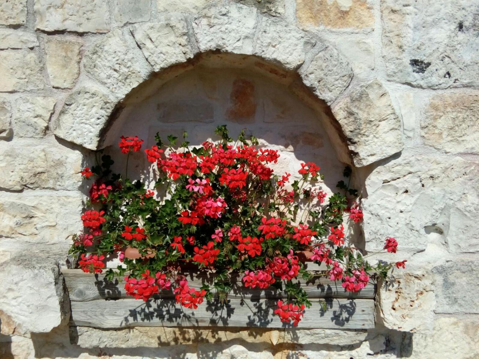 Photo 63