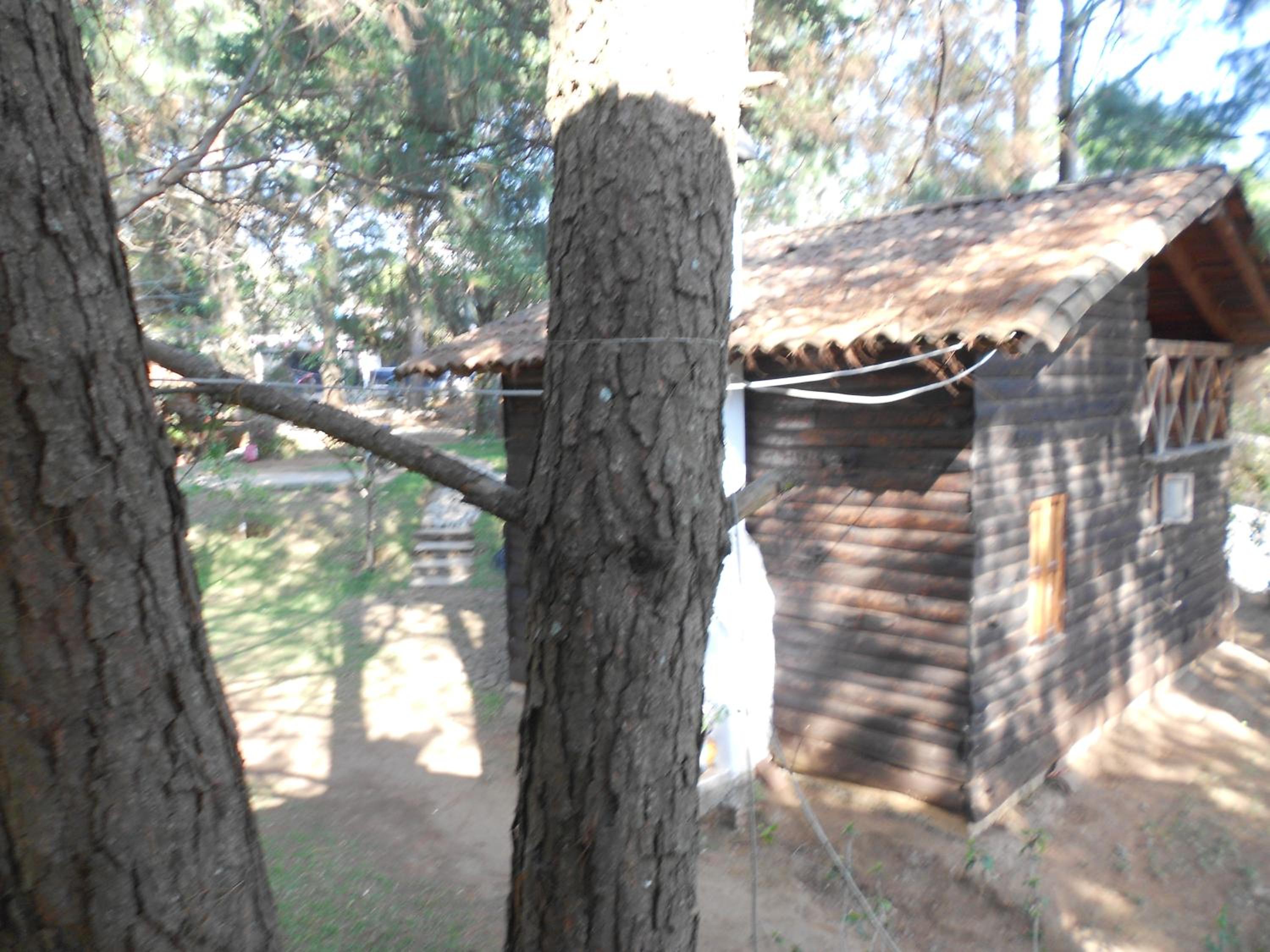 Cabañas los Venados