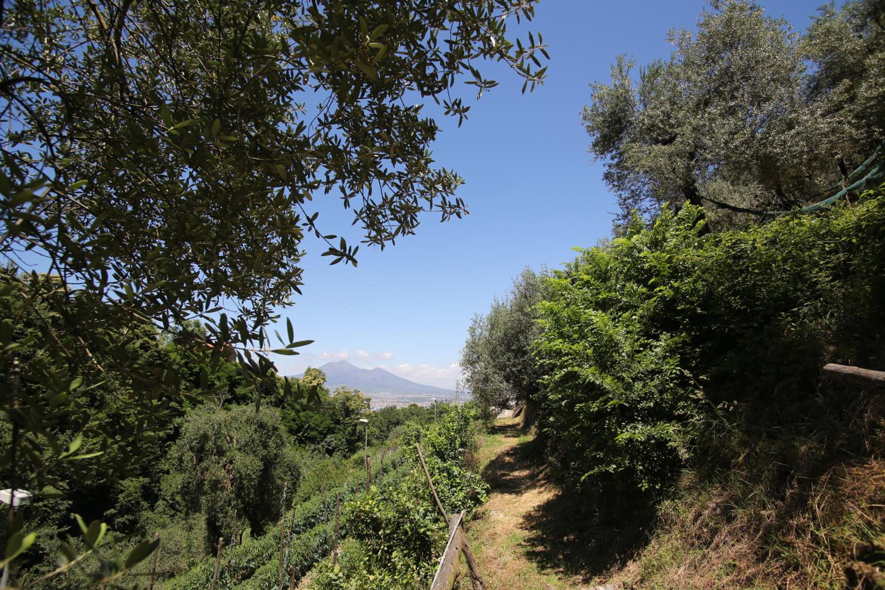 B&B Villa Catiè