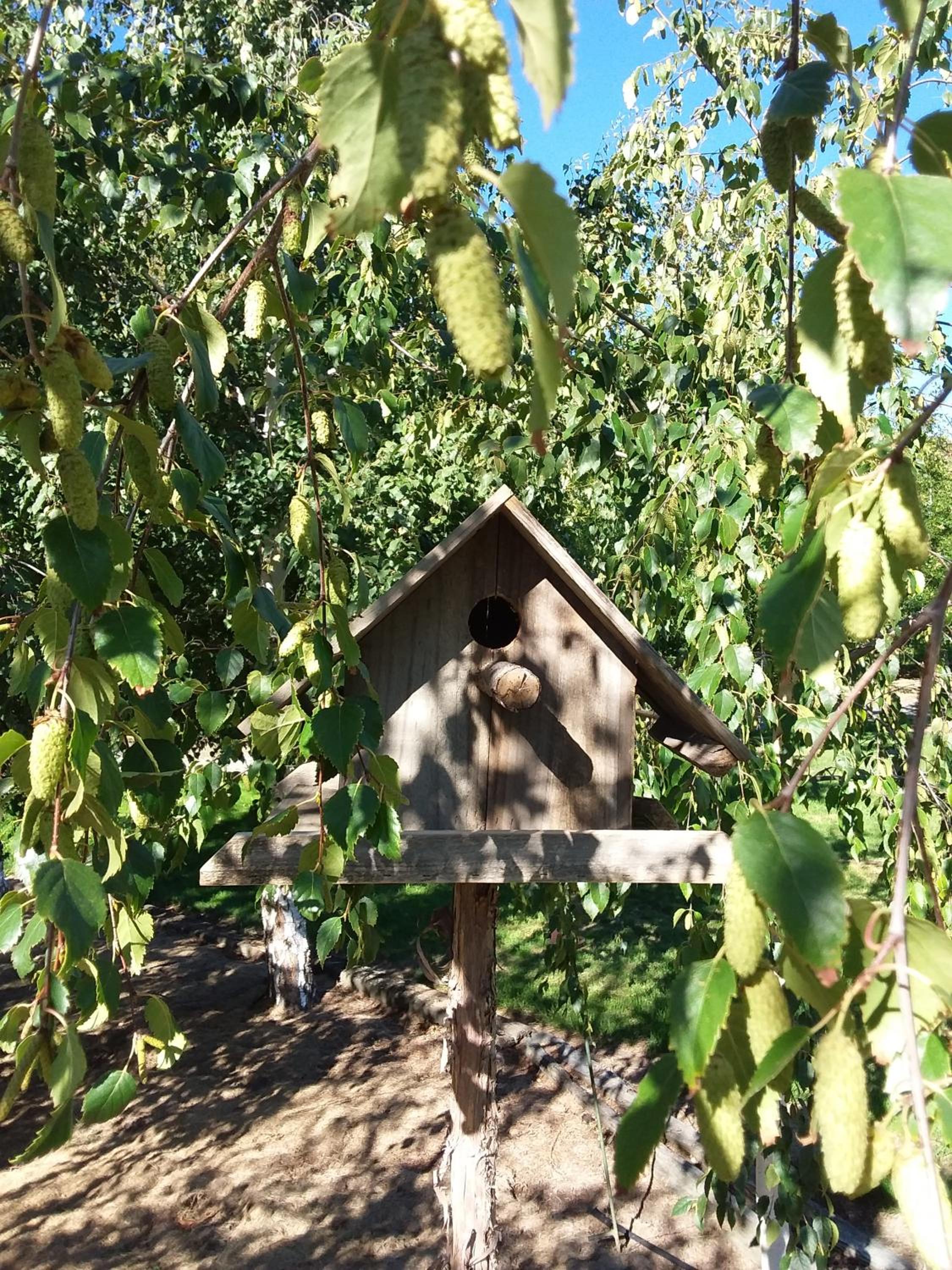 Photo 31