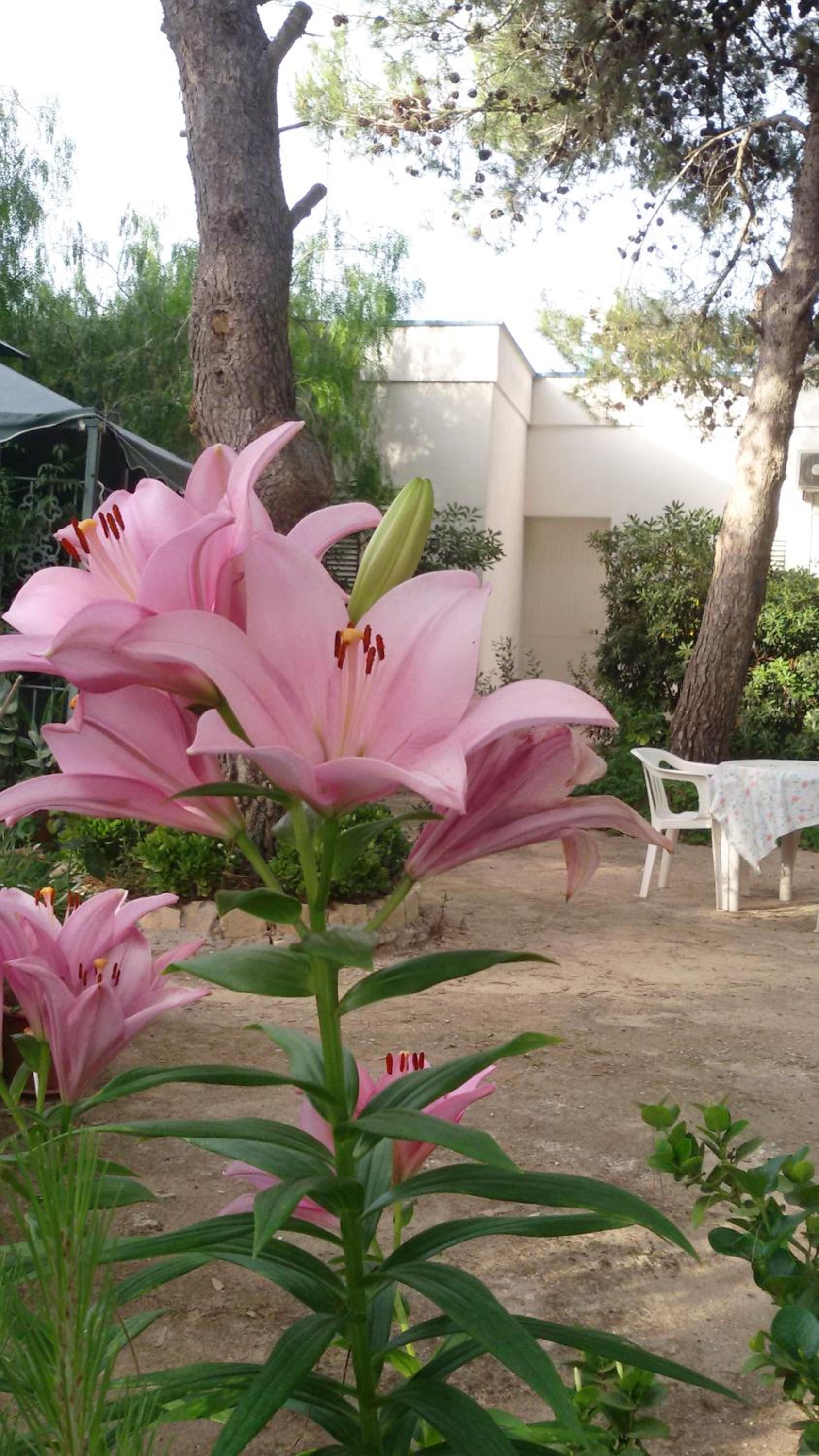 Agriturismo Palese