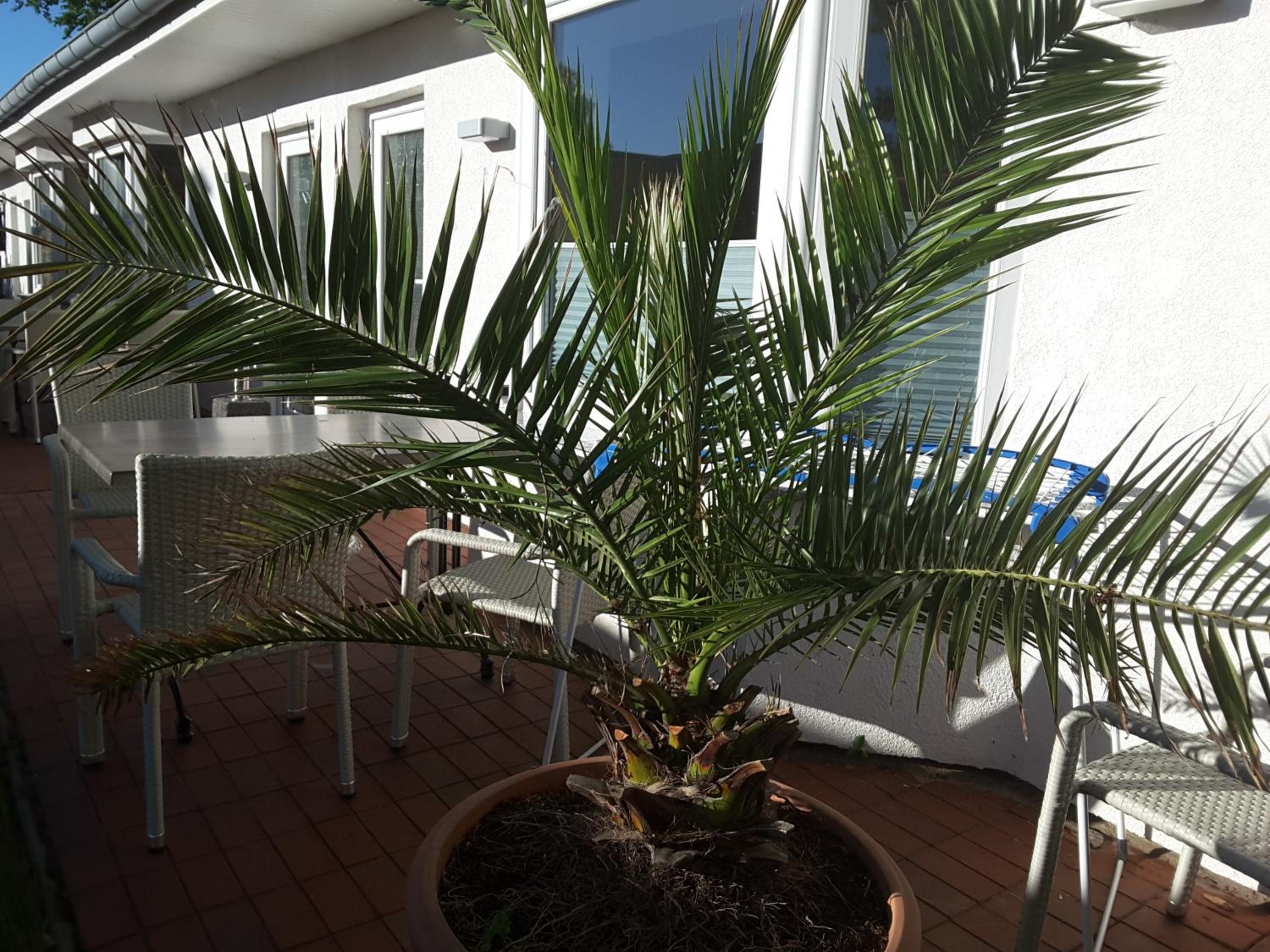 Photo 34