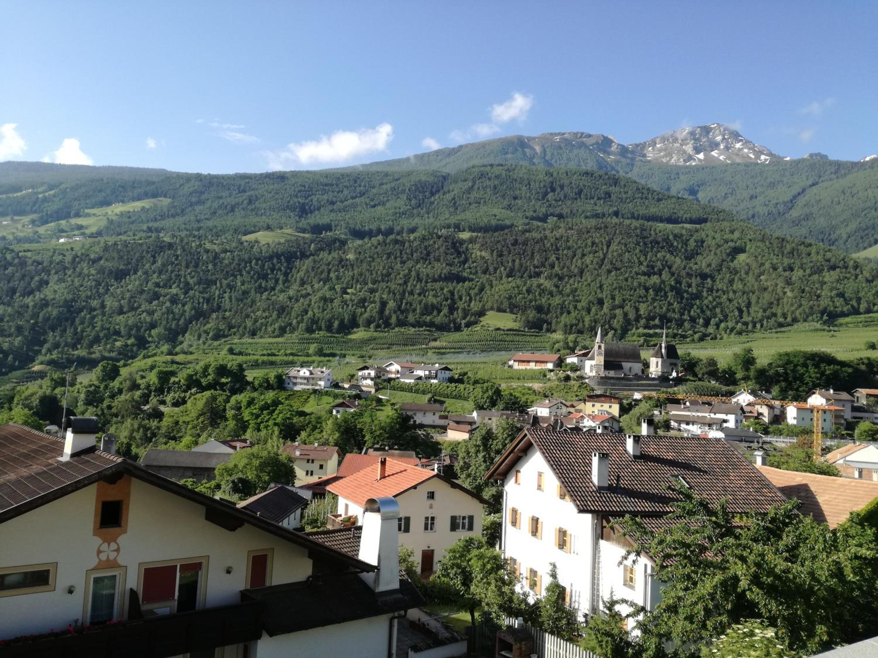 Alpenrose view 2