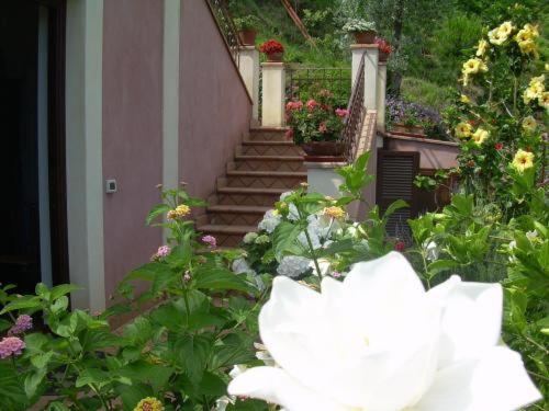 Photo 49