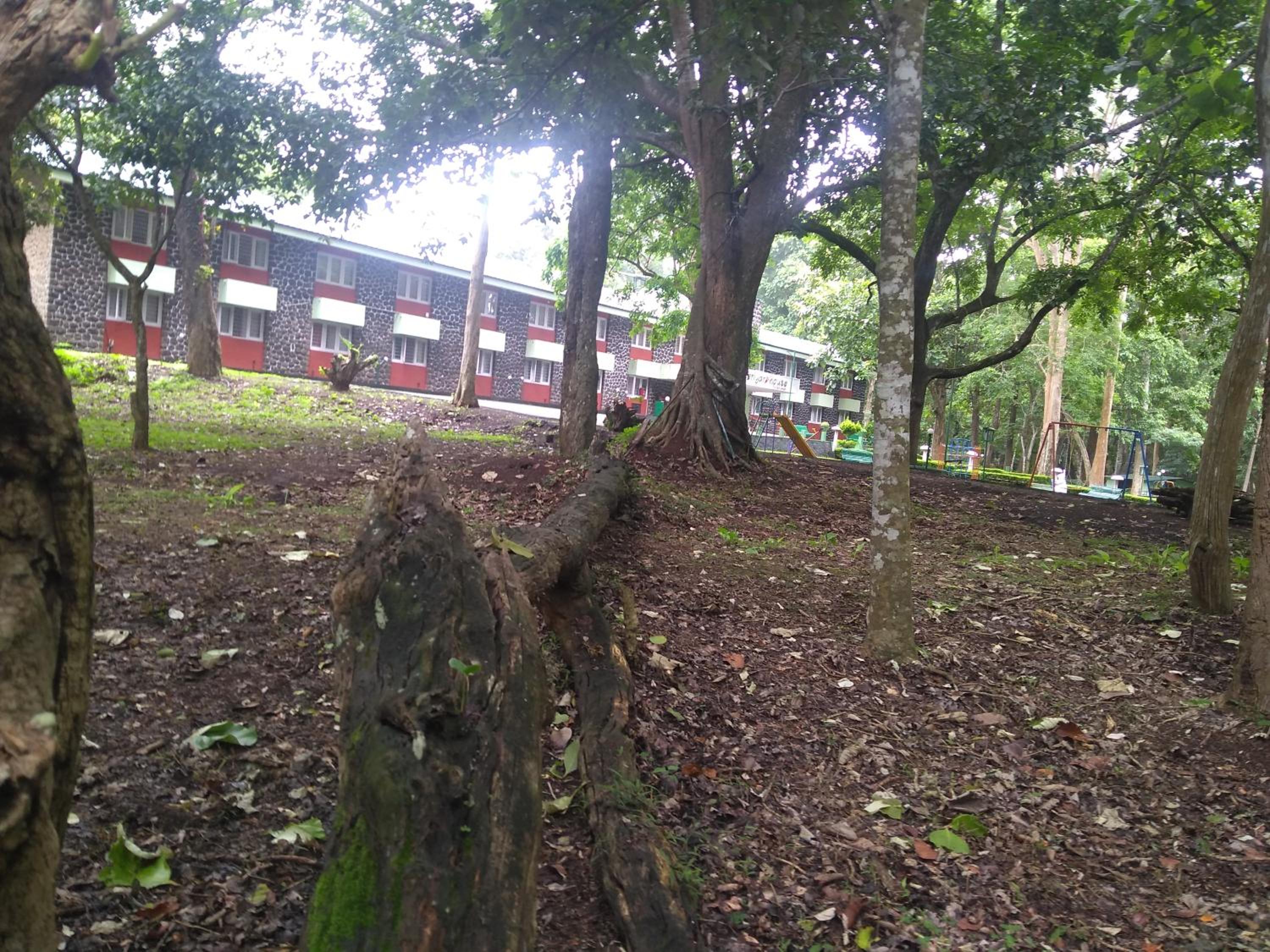 Photo 6