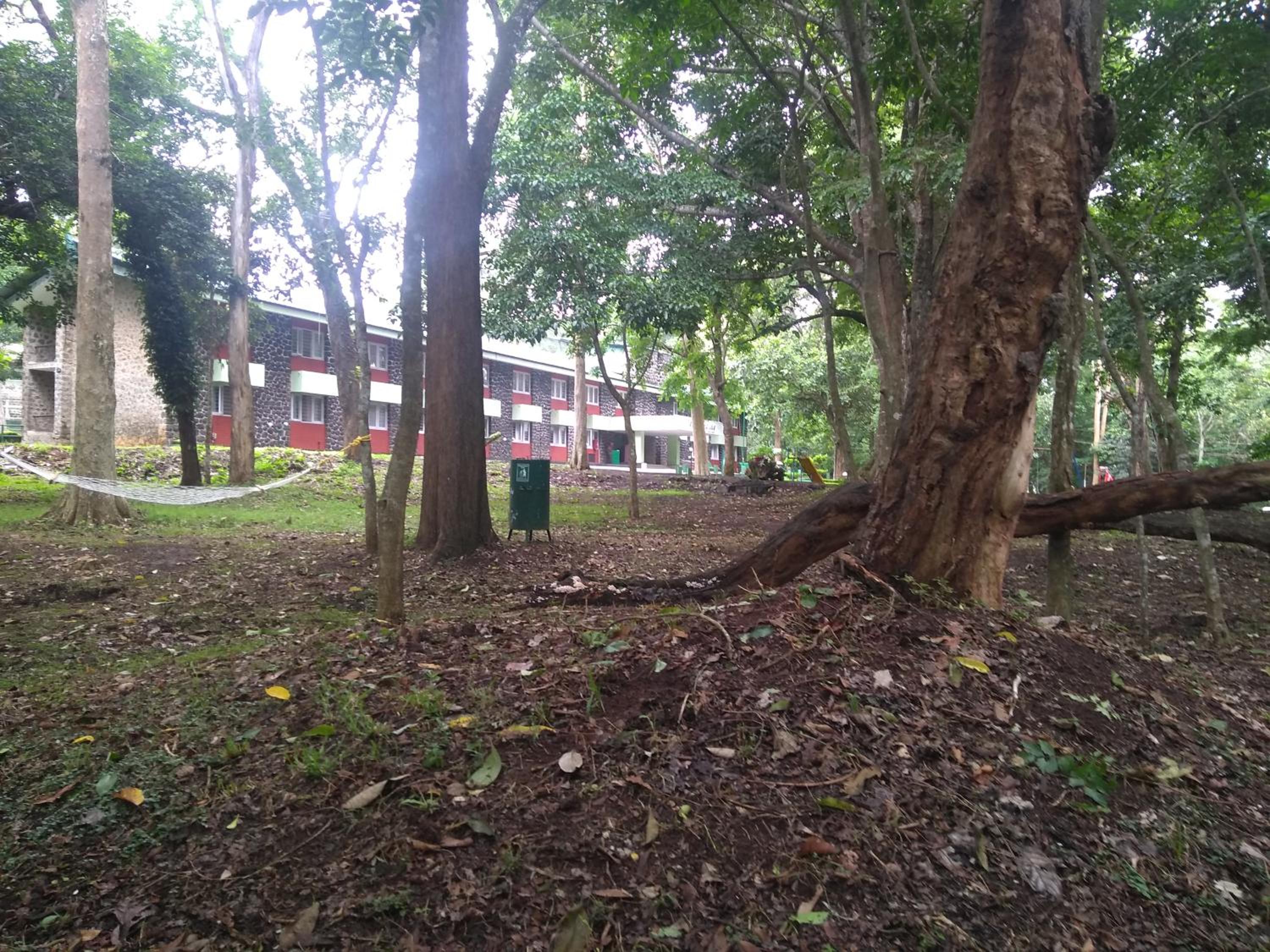Photo 8