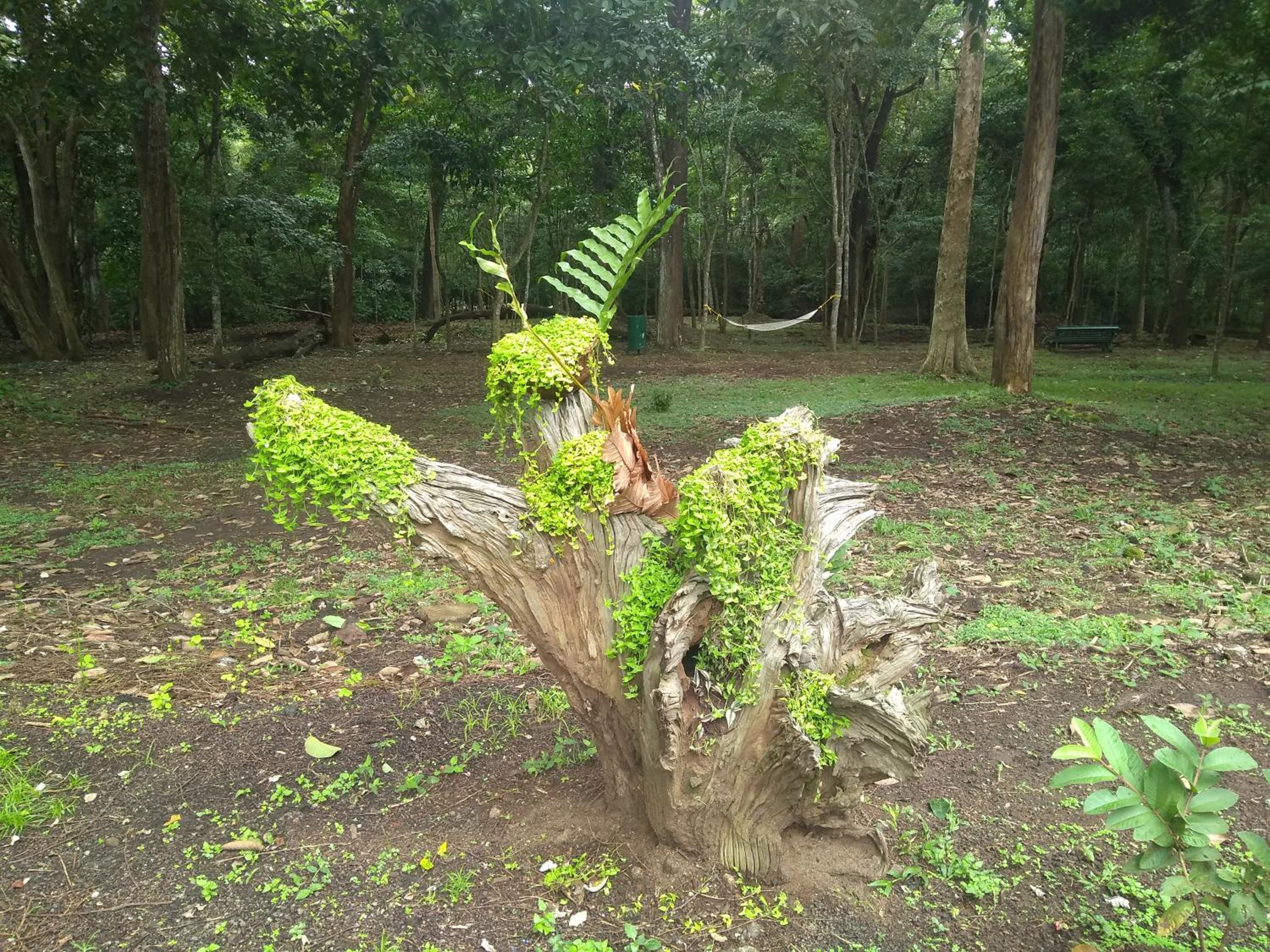 KTDC Periyar House view 4