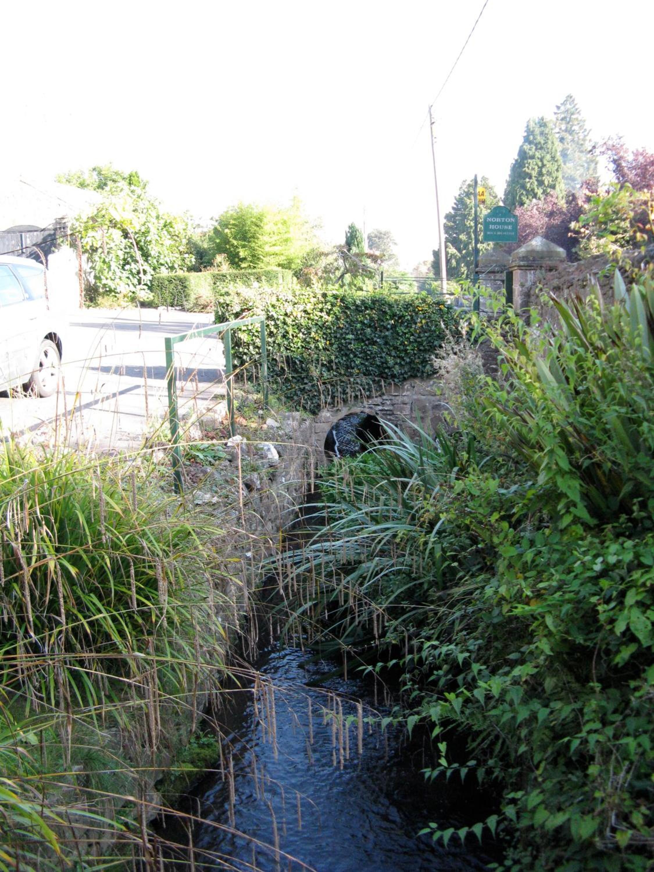 Photo 27