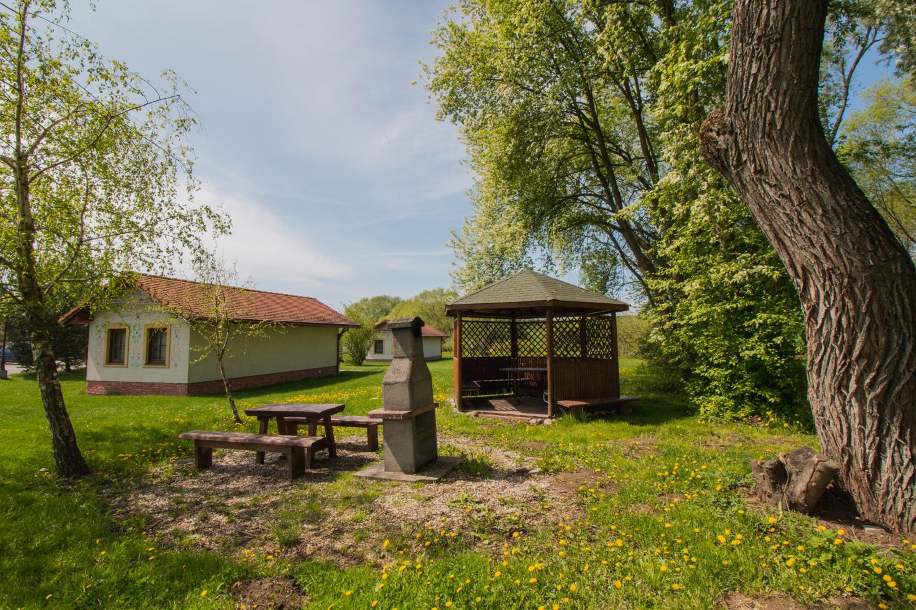 Photo 43