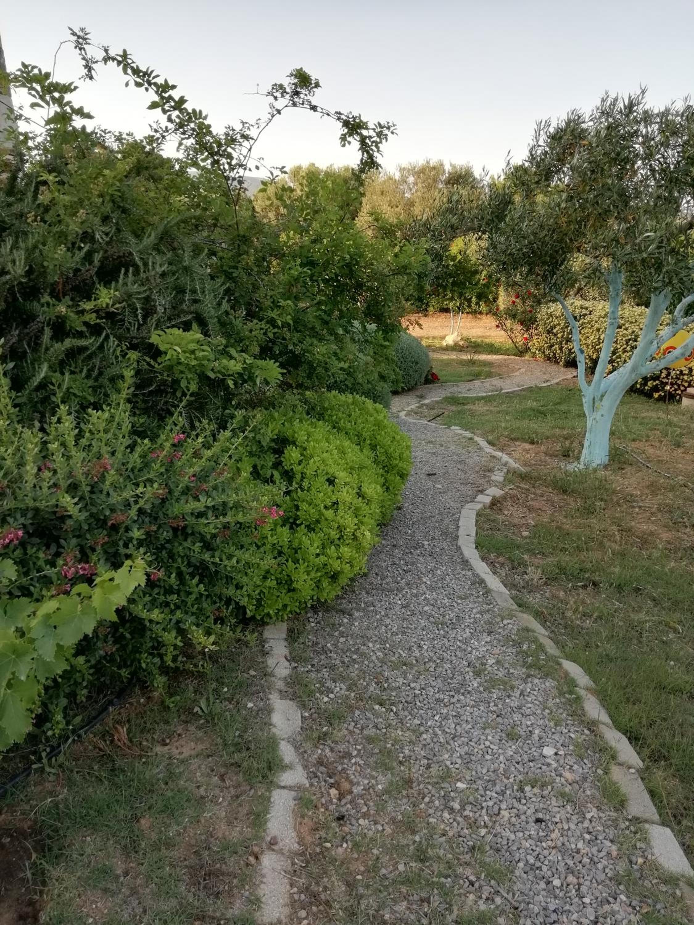 Photo 21