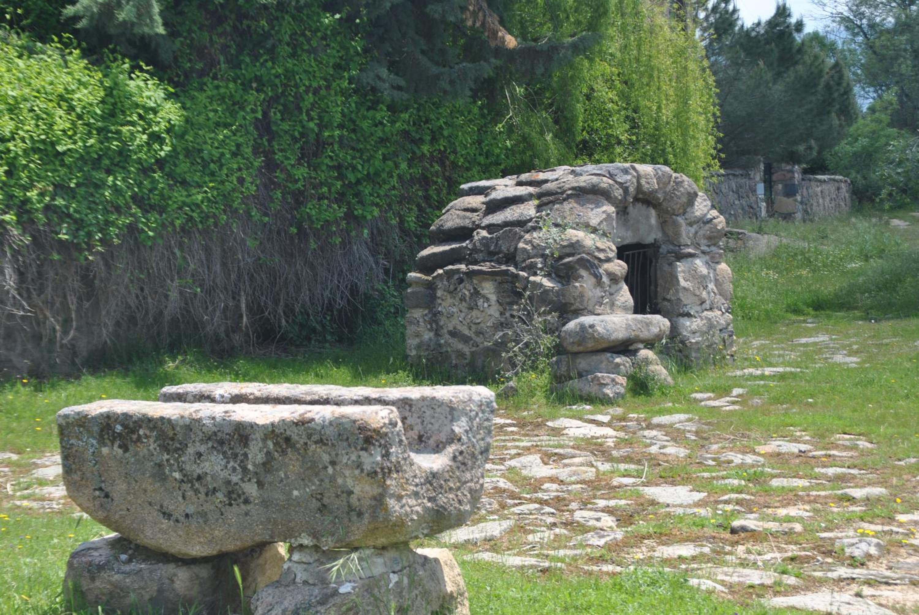 Photo 12