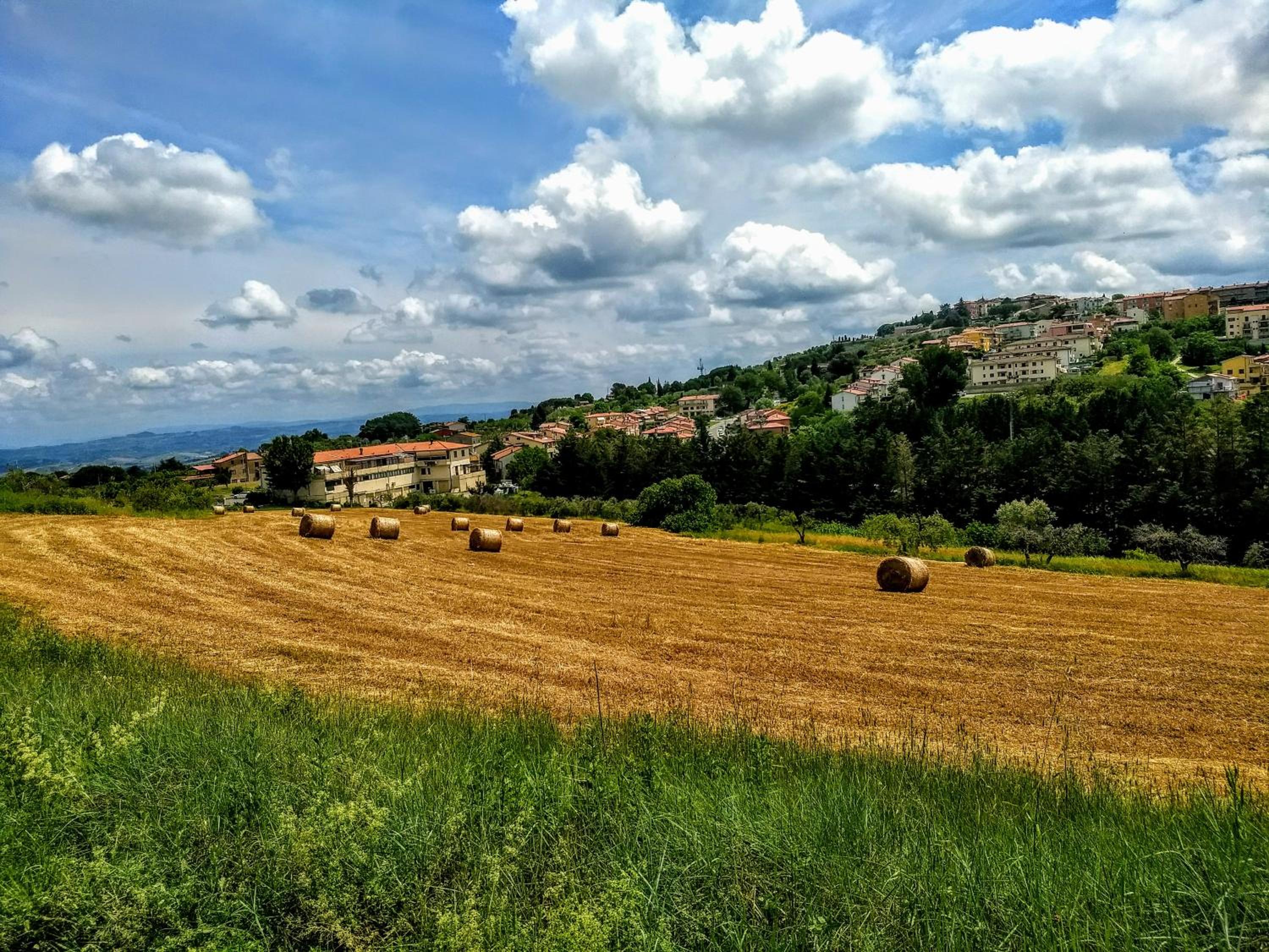 Borgo La Casaccia